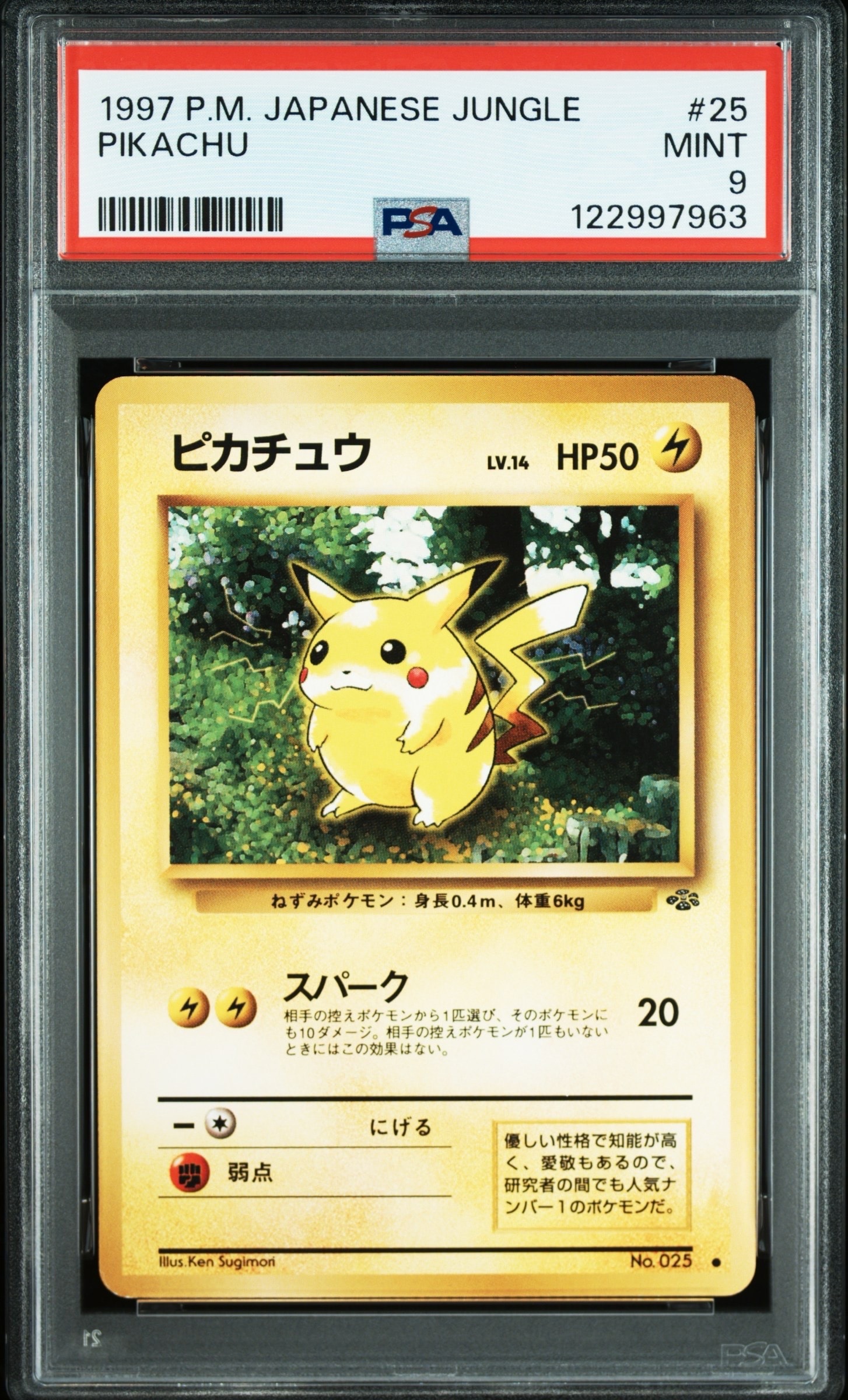 PSA10】オールナイトパーティ: プロモ[XY-P 139/XY-P](プロモーション