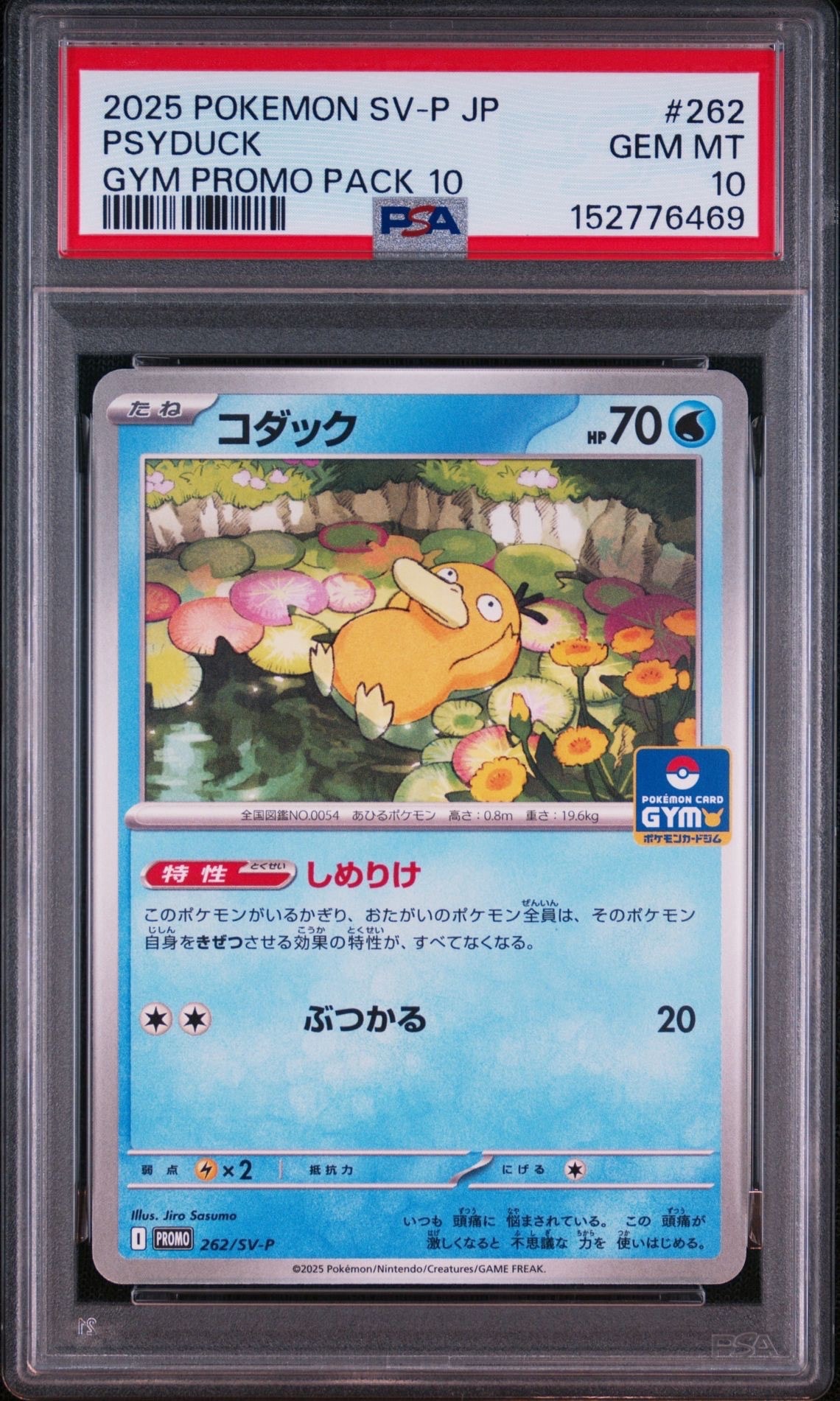 PSA10】コダック P [SV-P 262](プロモカードパック「第10弾」) 1枚の