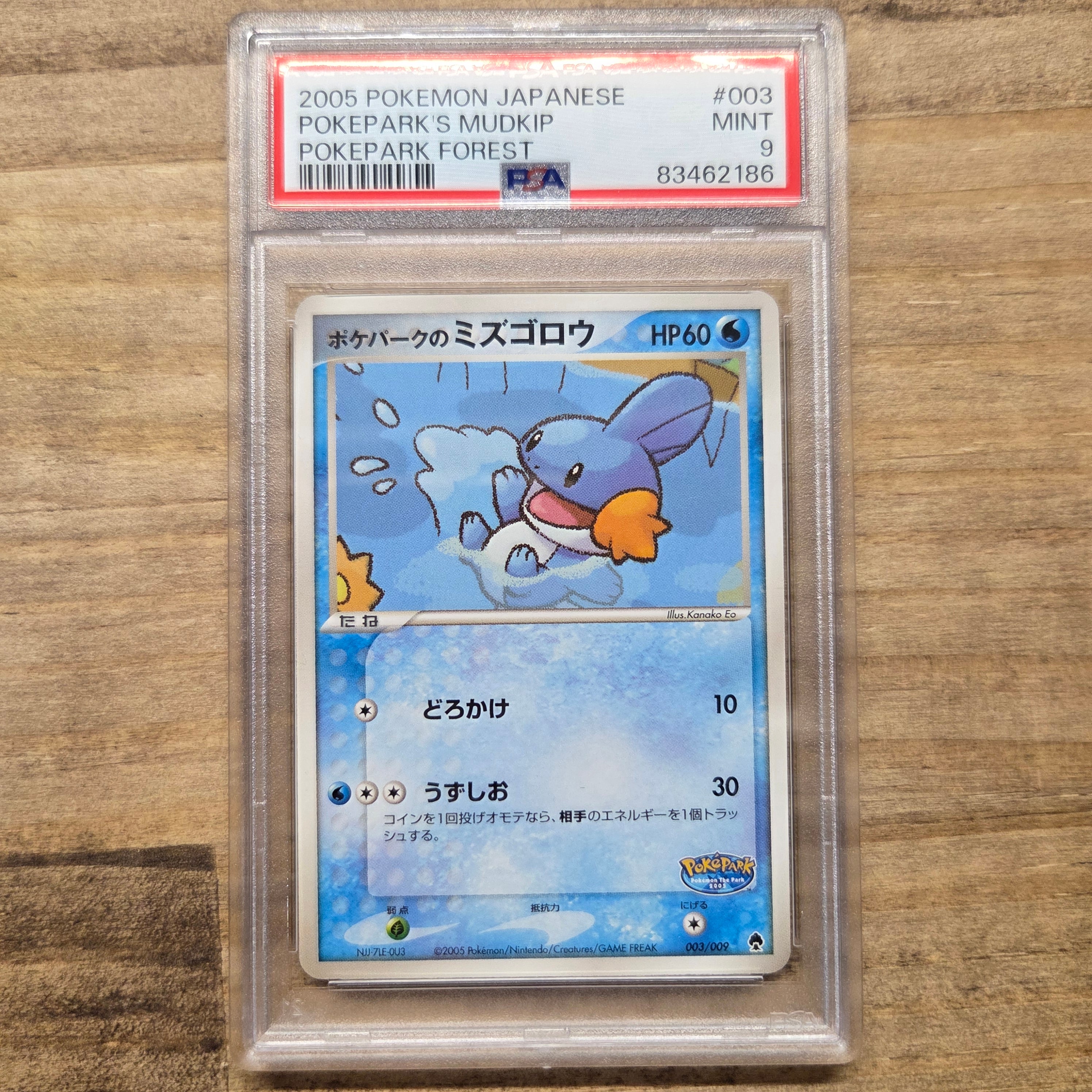 ポケパークのミズゴロウ　003/009 フォレストシート　ファイル PSA9】ポケパークのミズゴロウ [PCG 003/009](ポケパークプレミアム