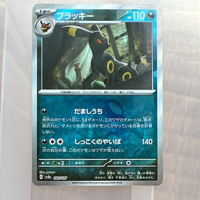 411540.jpeg?size=m 411540.jpeg?size=m