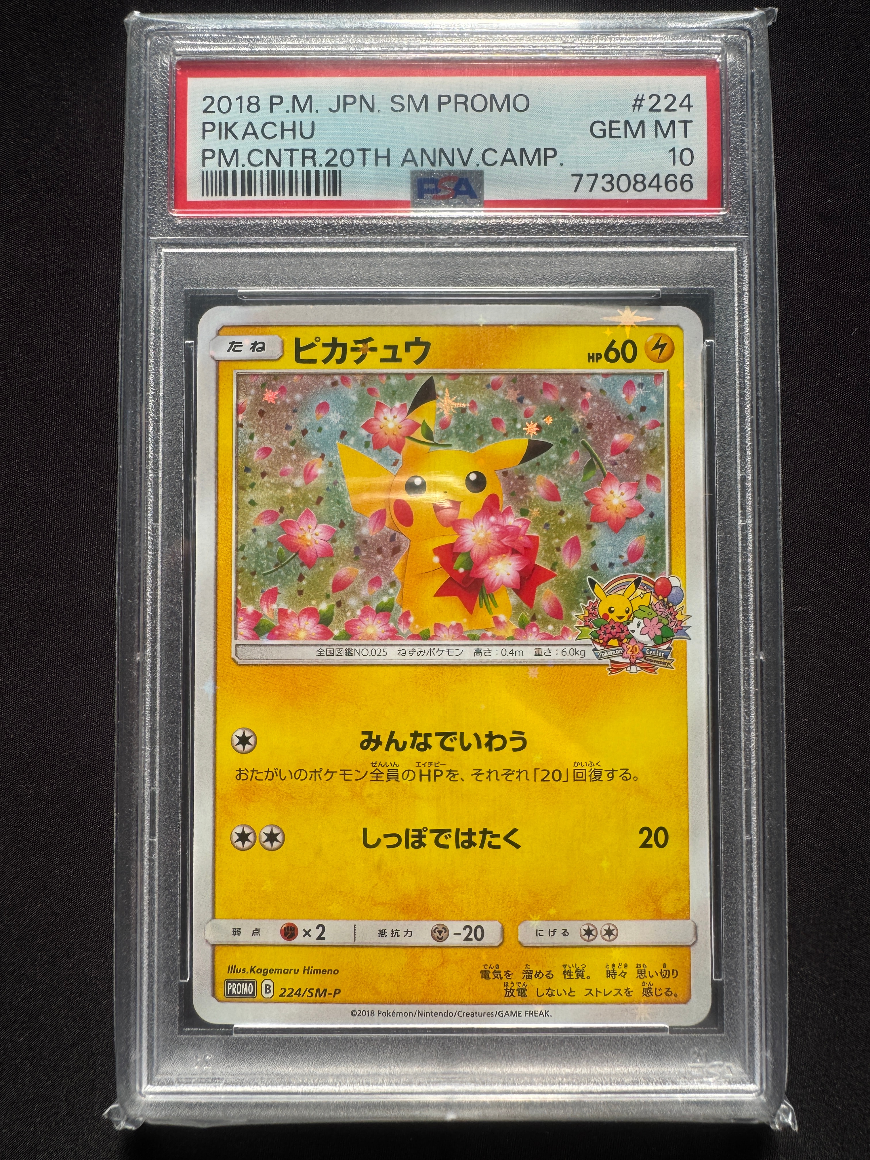 ピカチュウ: プロモ[SM-P 224](プロモーションカード「SM-P」)