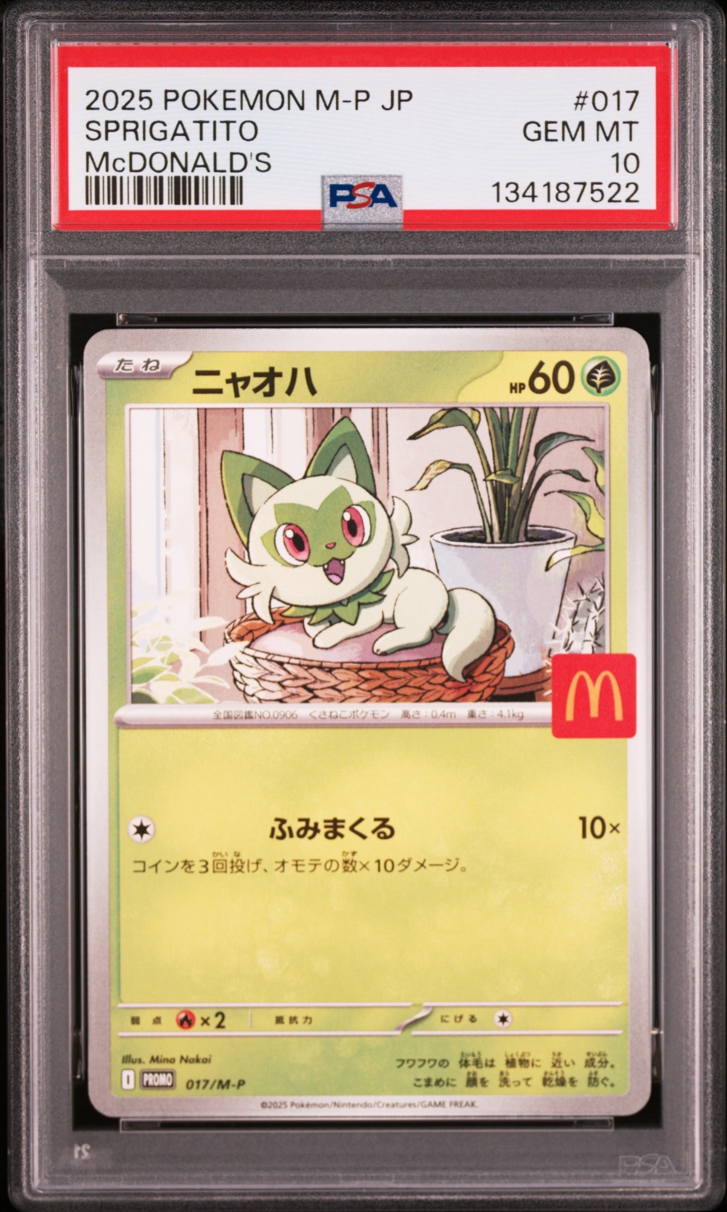 ピカチュウ&ゼクロムGX RR [SM9 031/095](拡張パック「タッグボルト