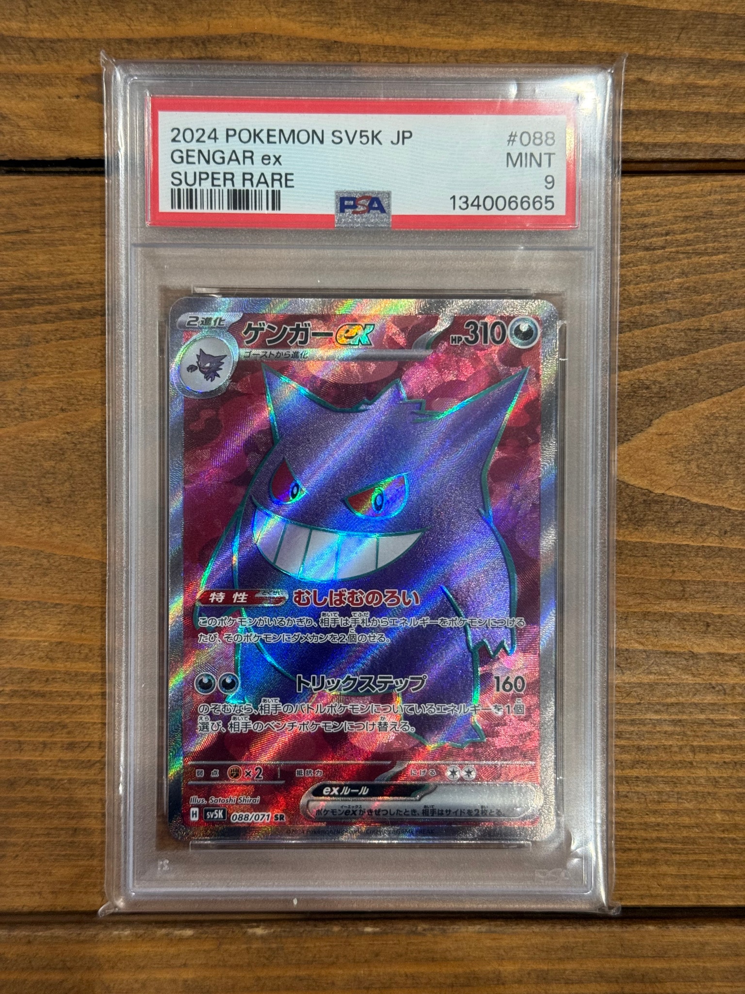 PSA10】ゲンガーex SR [SV5K 088/071](拡張パック「ワイルドフォース