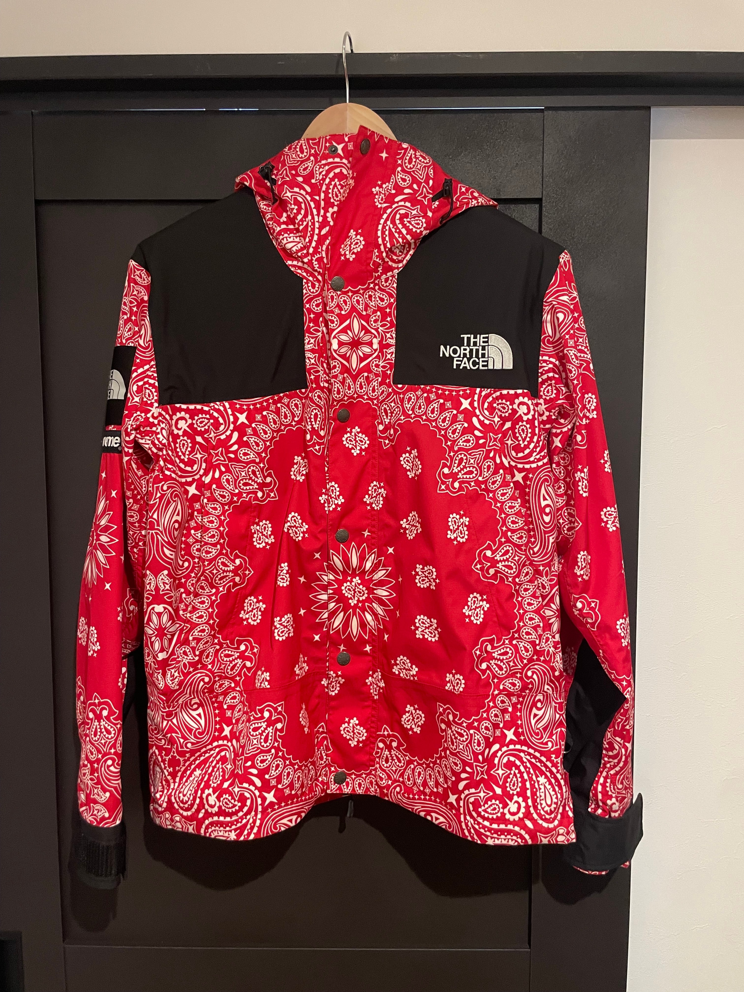 Supreme x The North Face Leather Mountain Parka 