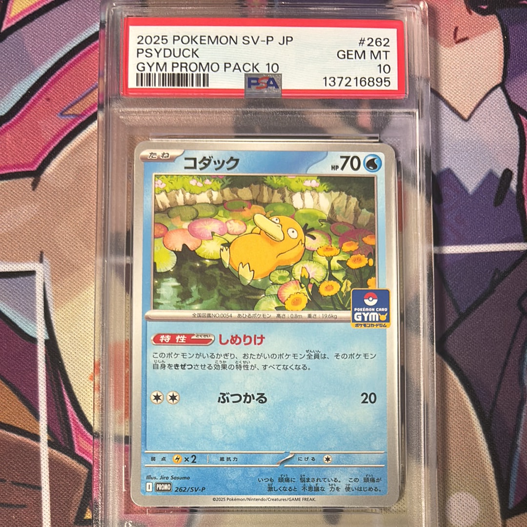 コダック P [SV-P 262](プロモカードパック「第10弾」)