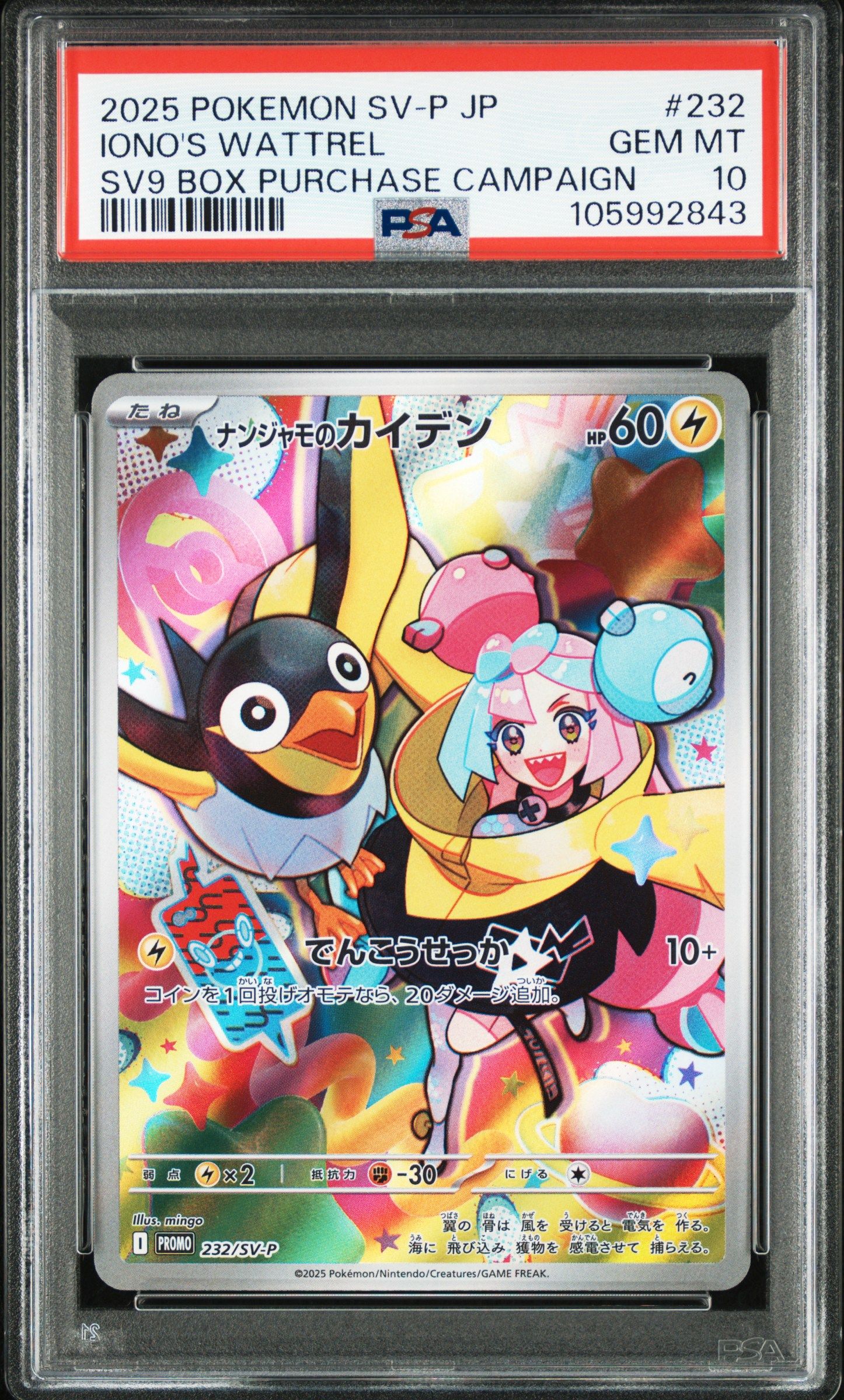 ナンジャモのカイデン P [SV-P 232](プロモーションカード「拡張パック バトルパートナーズ Box購入キャンペーン」)