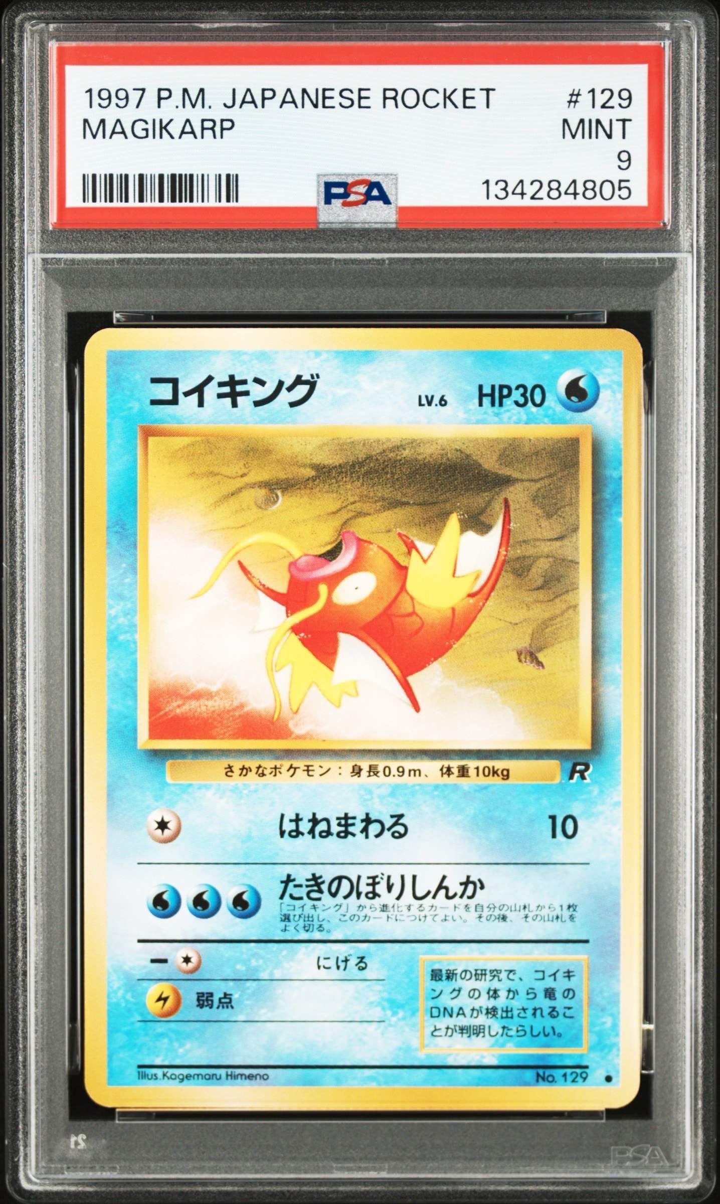 コイキング ● : 旧裏 [PMCG4 No.129](拡張パック「ロケット団」)