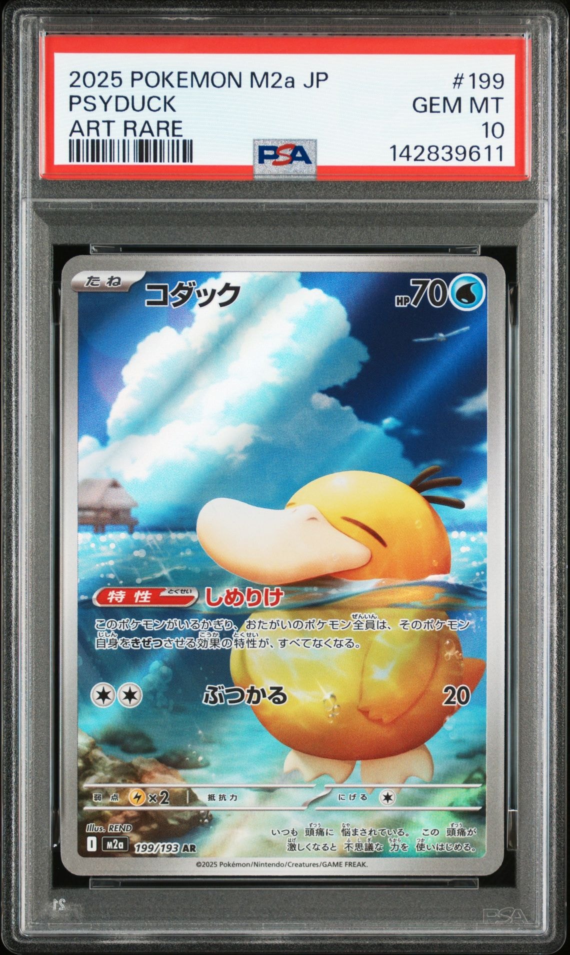 コダック AR [M2a 199/193](ハイクラスパック「MEGAドリームex」)