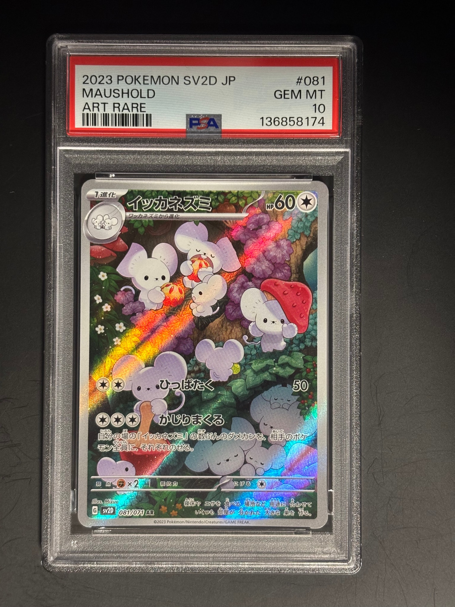 イッカネズミ AR PSA10 PSA10 イッカネズミ AR イッカネズミ AR イッカネズミ AR PSA10 PSA10 イッカネズミ AR イッカネズミ AR