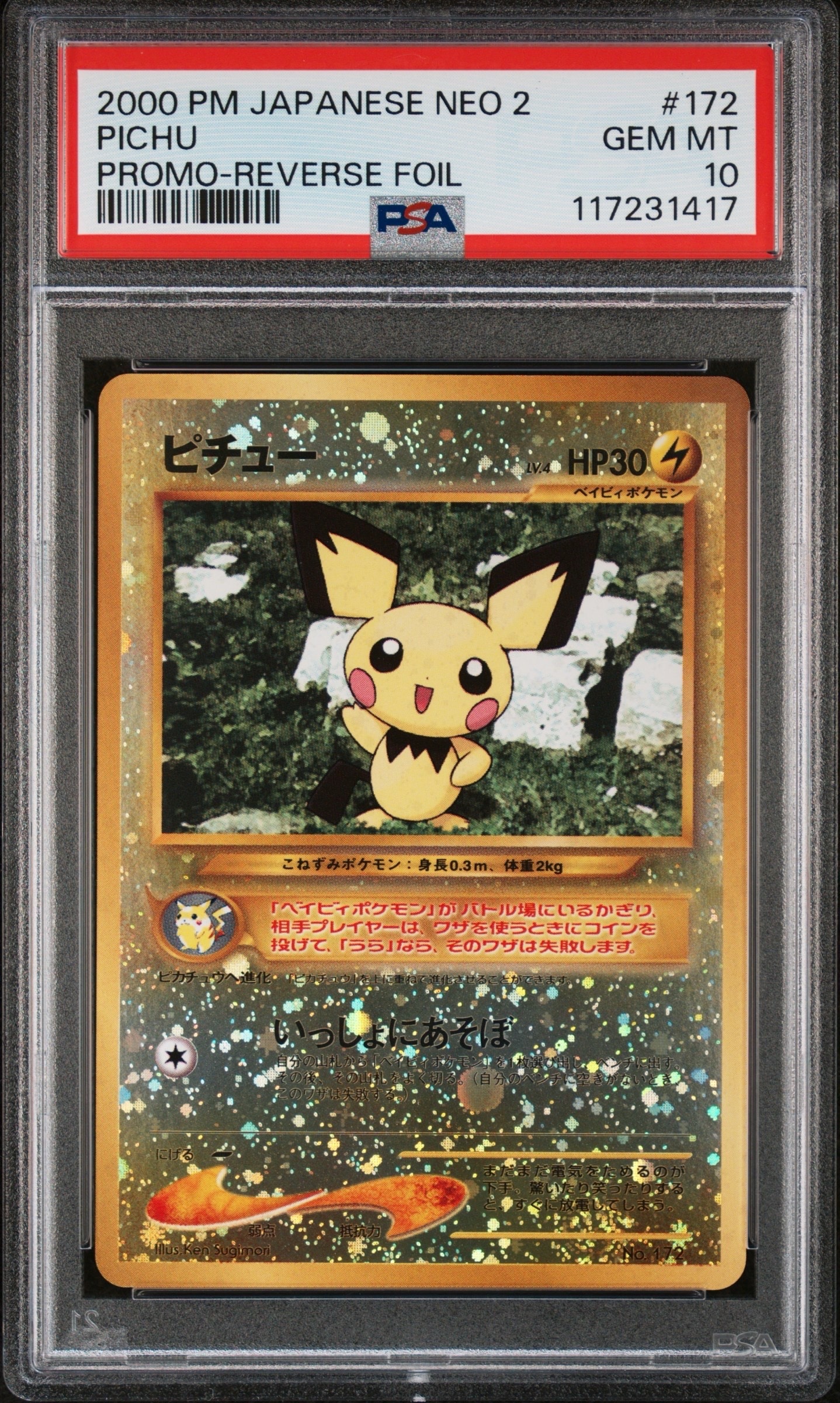 ピチュープレミアムファイル2: 旧裏[neoP2 No.172](プレミアムファイル2)