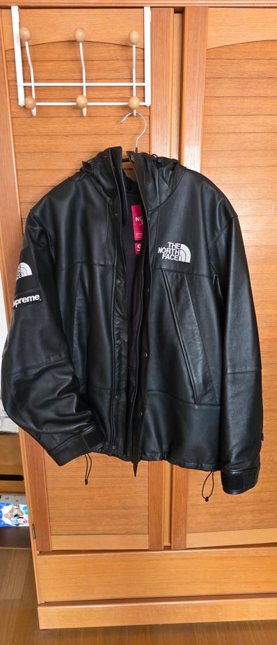 Supreme x The North Face Leather Mountain Parka "Black"