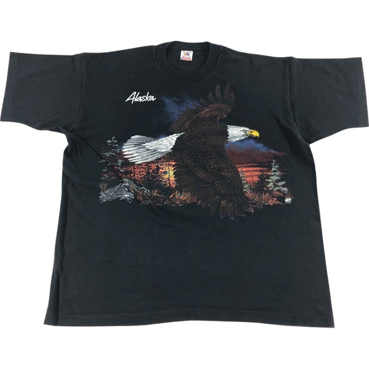 古着 90年代 フルーツオブザルーム FRUIT OF THE LOOM 鷲柄 イーグル柄 アニマルTシャツ USA製 メンズXL相当 ヴィンテージ/eaa551222
