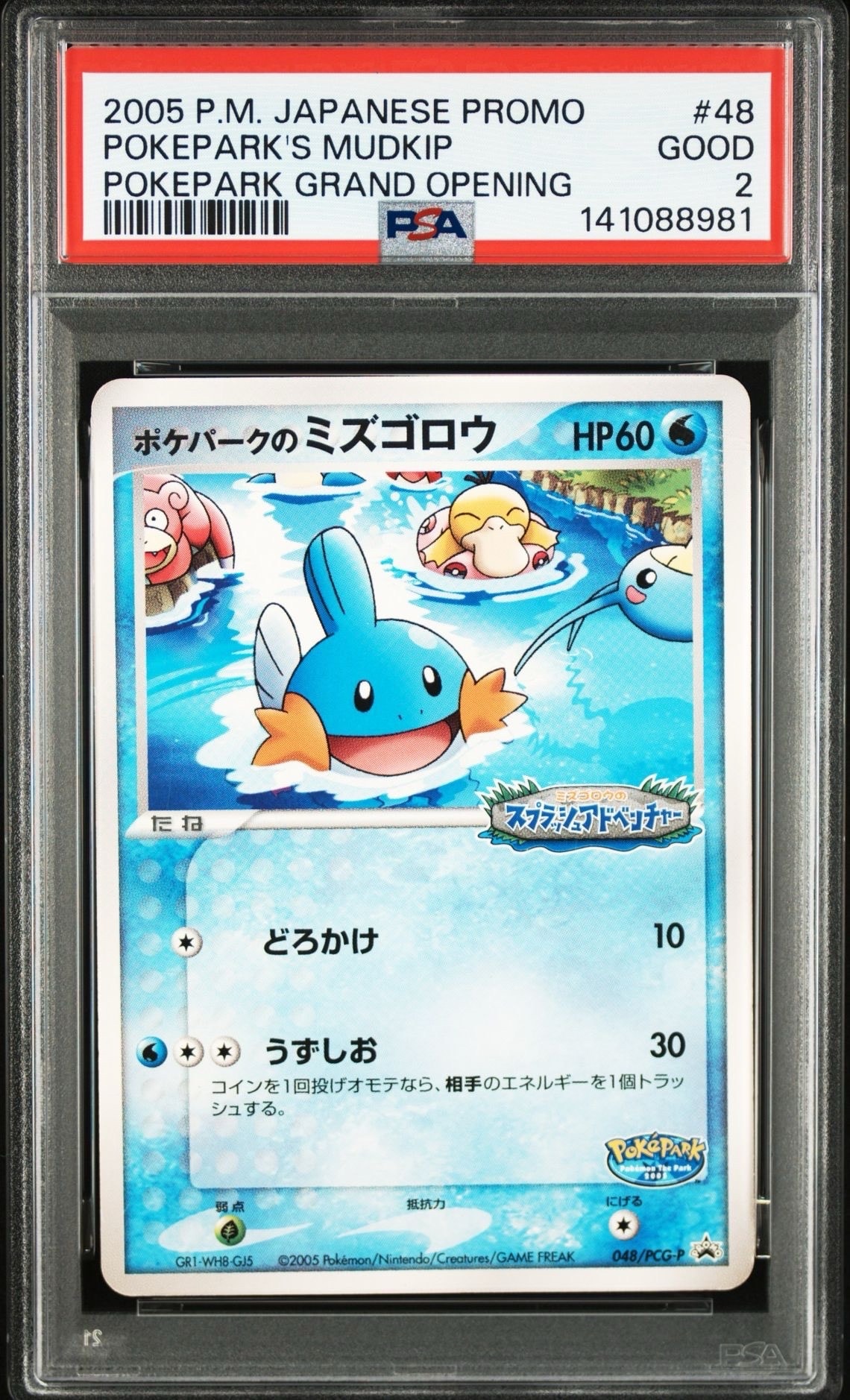 ポケパークのミズゴロウ P [PCG-P 048](プロモーションカード