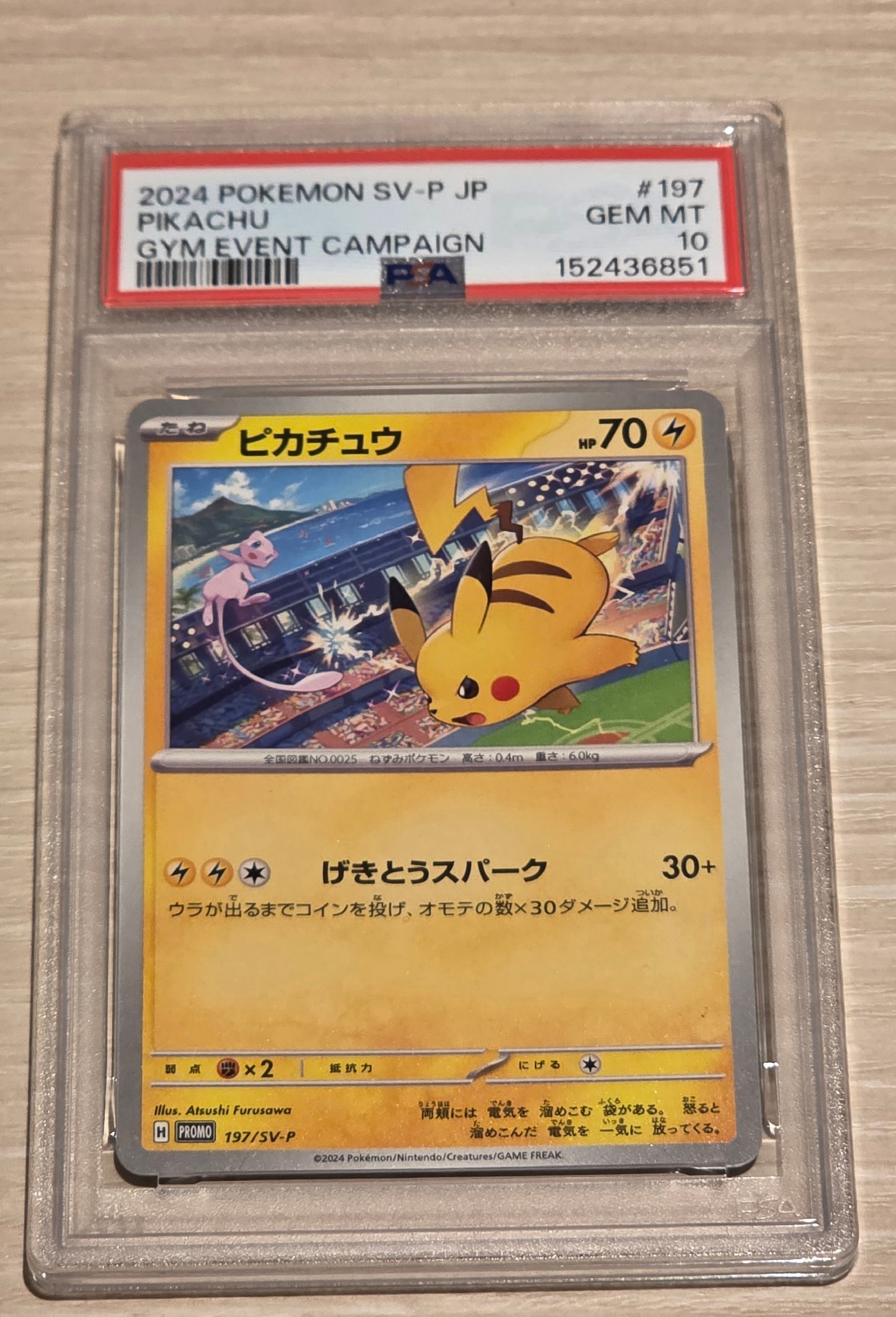 Pikachu P [SV-P 197](Promotional Cards "WCS2024 Commemorative Campaign")