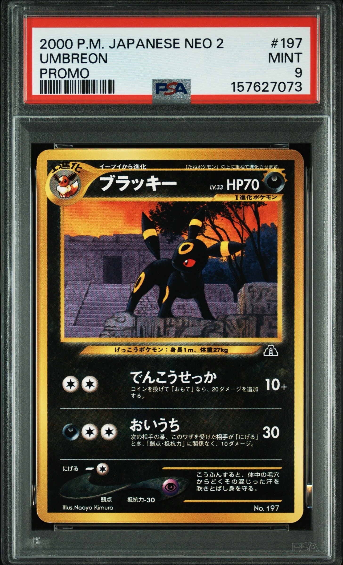 PSA10】ブラッキープレミアムファイル2: 旧裏[neoP2 No.197 PSA10】ブラッキープレミアムファイル2: 旧裏[neoP2 No.197