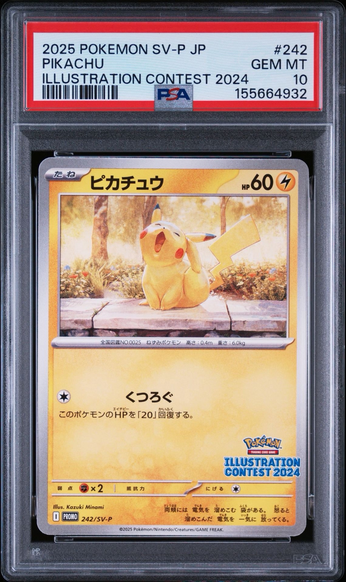ピカチュウ [SV-P 242](プロモカードパック「イラストレーション