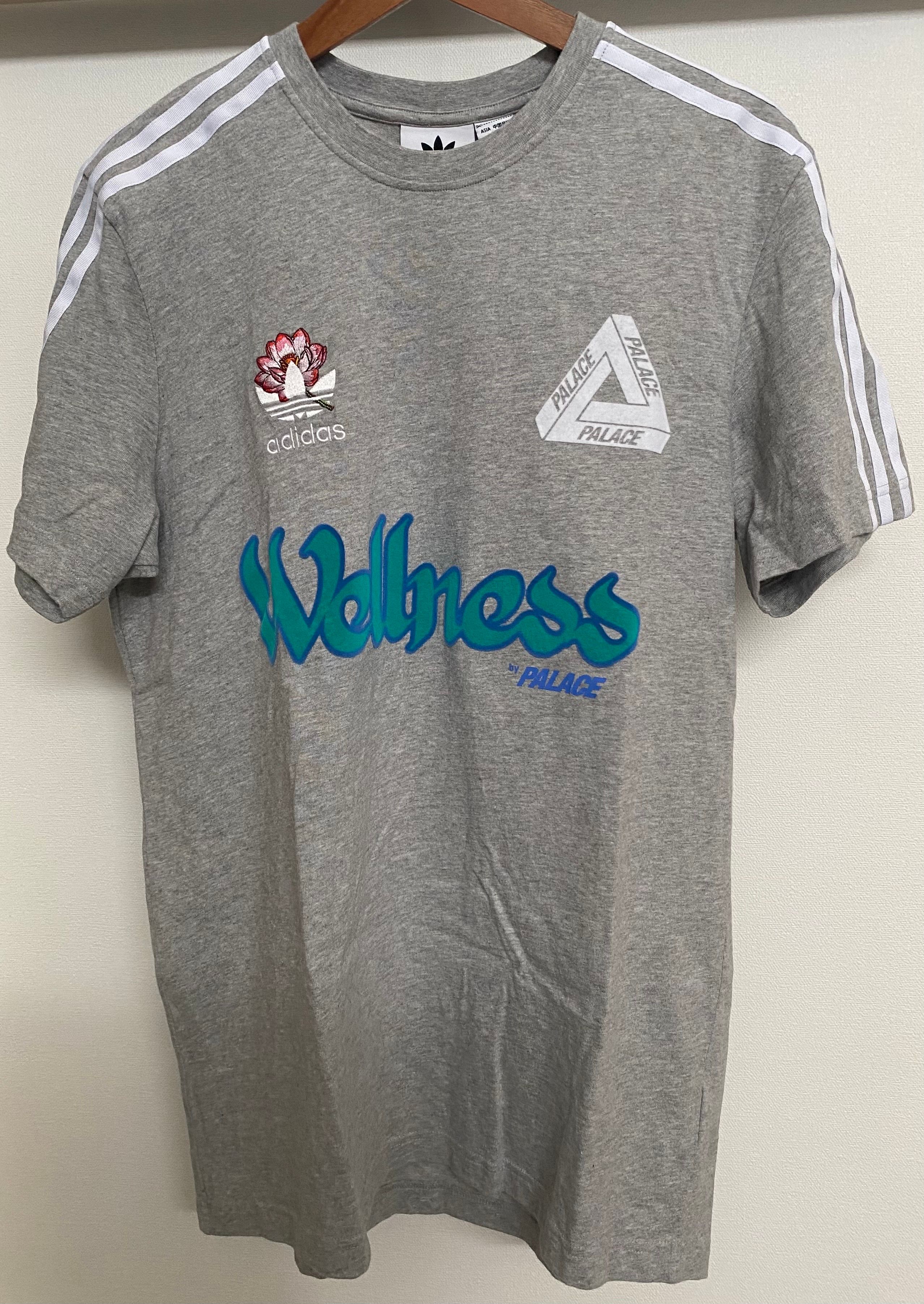 PALACE x ADIDAS GRAPHIC T-SHIRT "Grey"