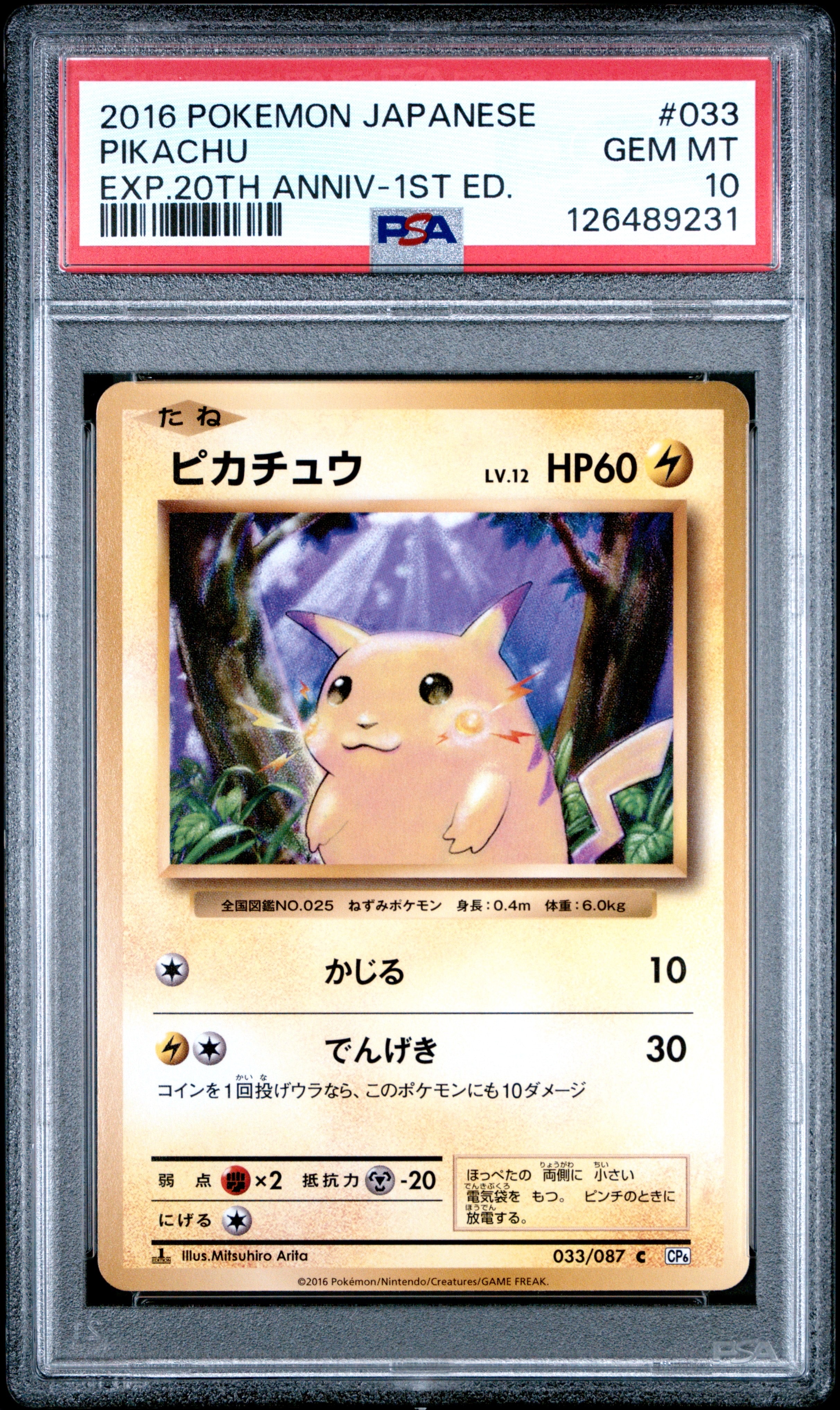 ピカチュウ C :1ED [CP6 033/087](コンセプトパック「ポケットモンスターカードゲーム 拡張パック 20th Anniversary」)
