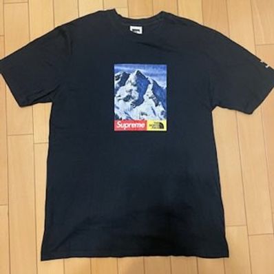Supreme x The North Face Mountain Tee "Black"