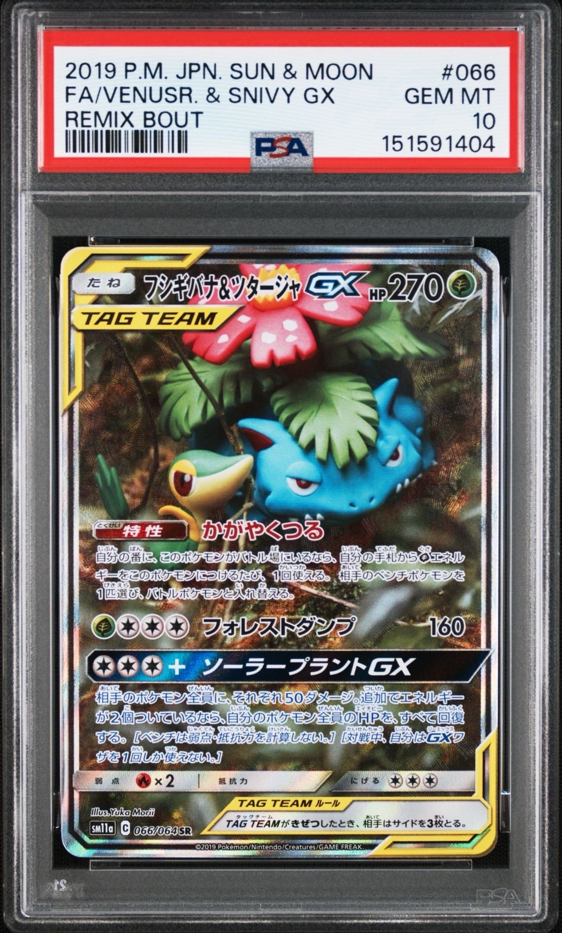 PSA10】フシギバナ&ツタージャGX SR: SA[SM11a 066/064](強化拡張