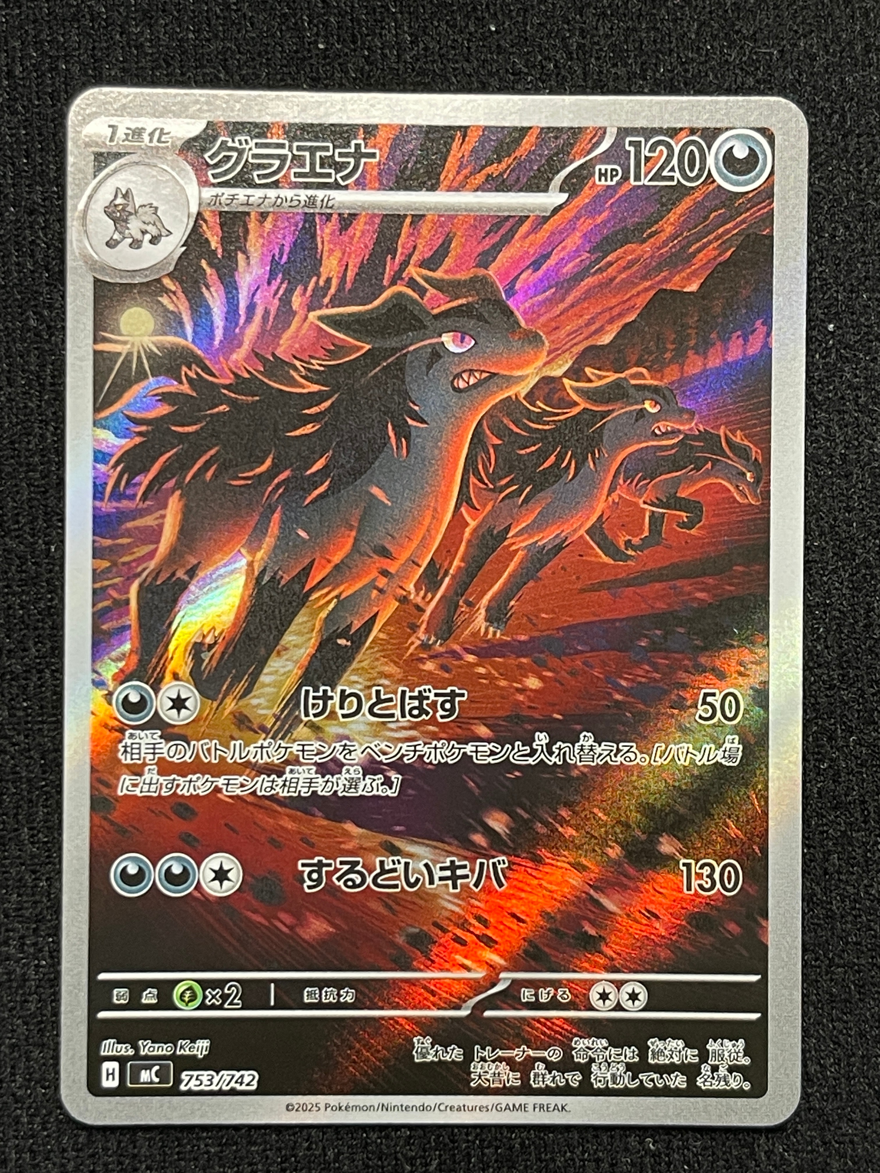 グラエナ AR仕様 [MC 753/742](スタートデッキ100「バトルコレクション