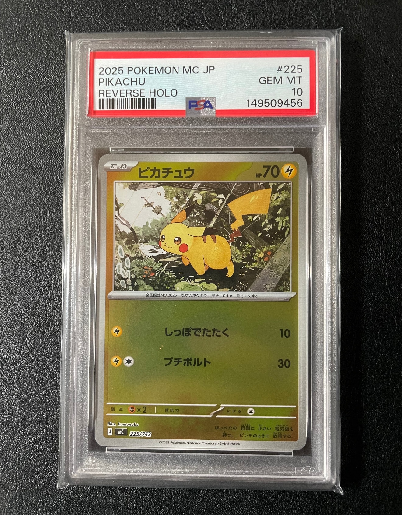 海で遊ぶピカチュウ: プロモ [SM-P 392](プロモーションカード「SM-P