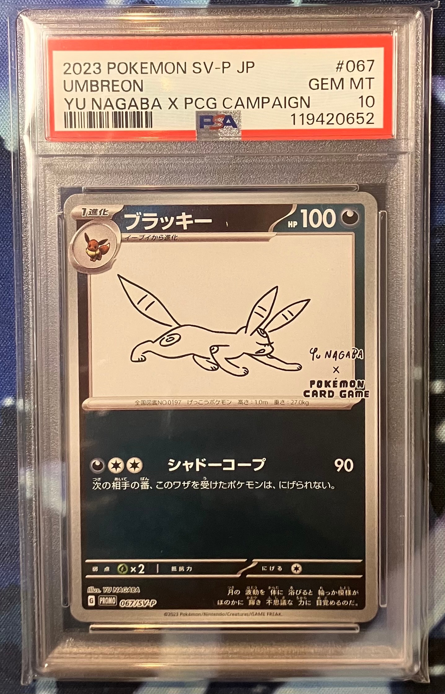 ブラッキー: プロモ (ナガバブラッキー) [SV-P 067](「YU NAGABA×ポケモンカードゲーム」プロモーションカード「SV-P」)
