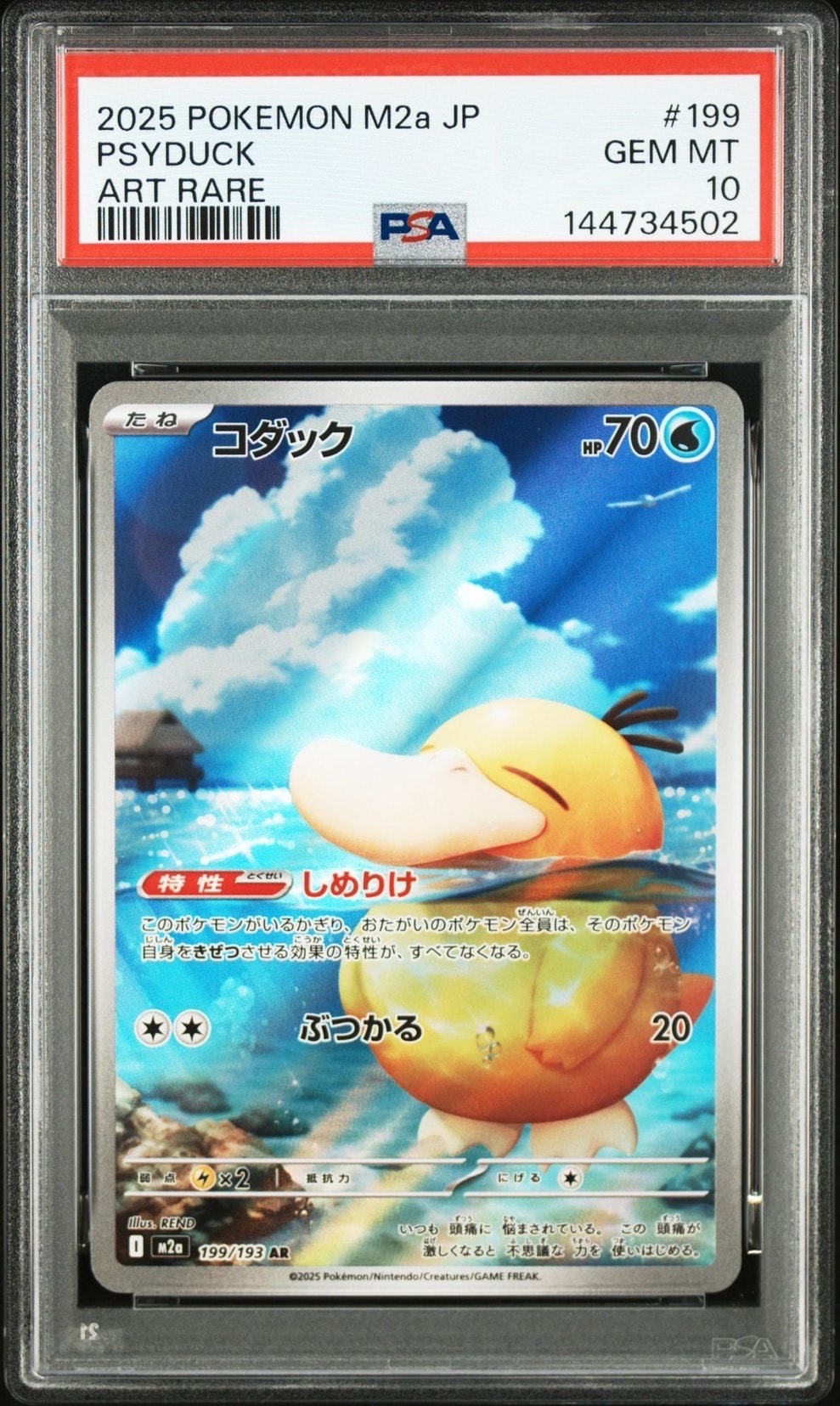 コダック AR [M2a 199/193](ハイクラスパック「MEGAドリームex」)の