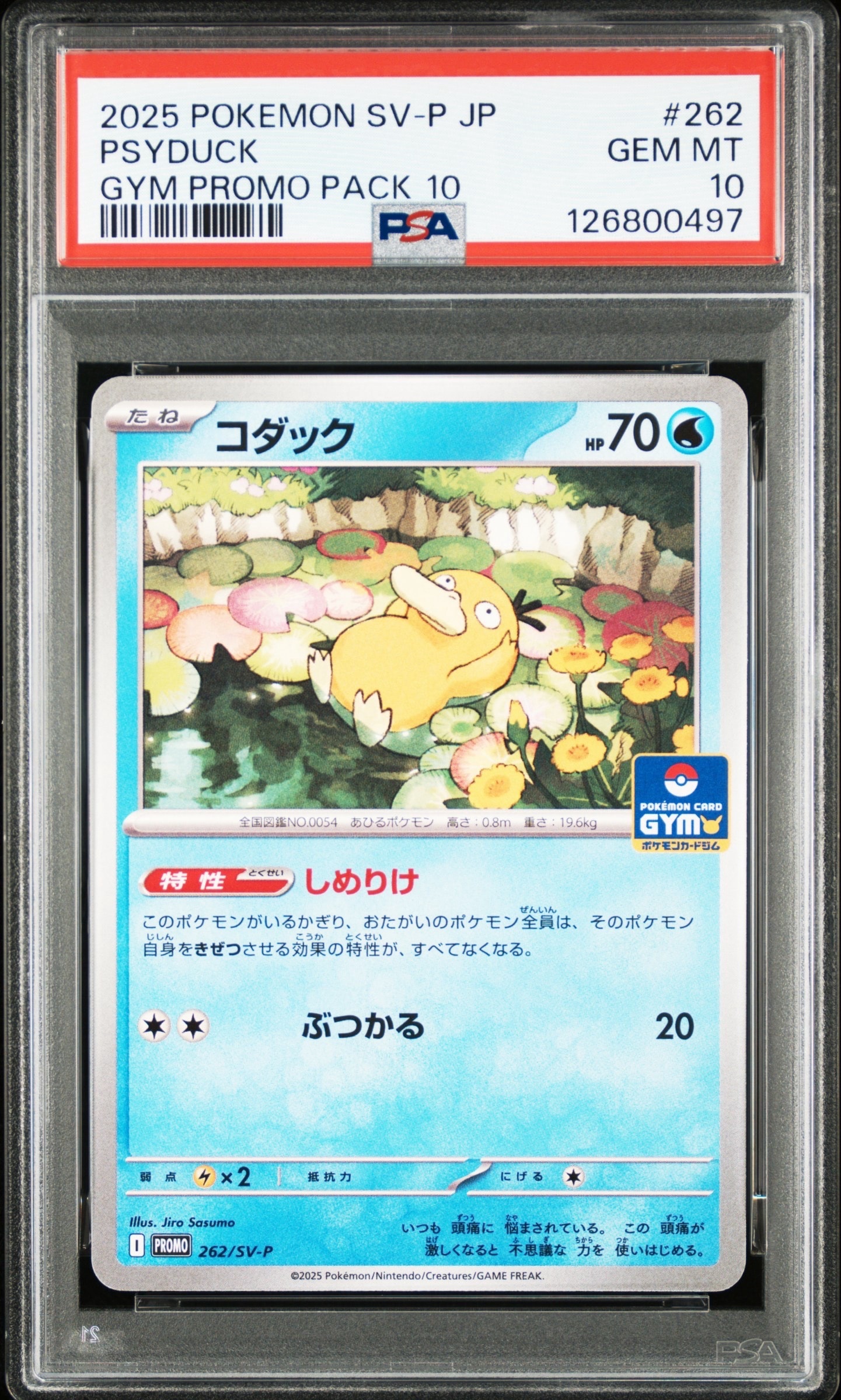 ポケモンカード　コダック　プロモ　PSA10 PSA10】 コダック 《ムンク展》 (プロモ) {286/SM-P} [SM] - magi通販