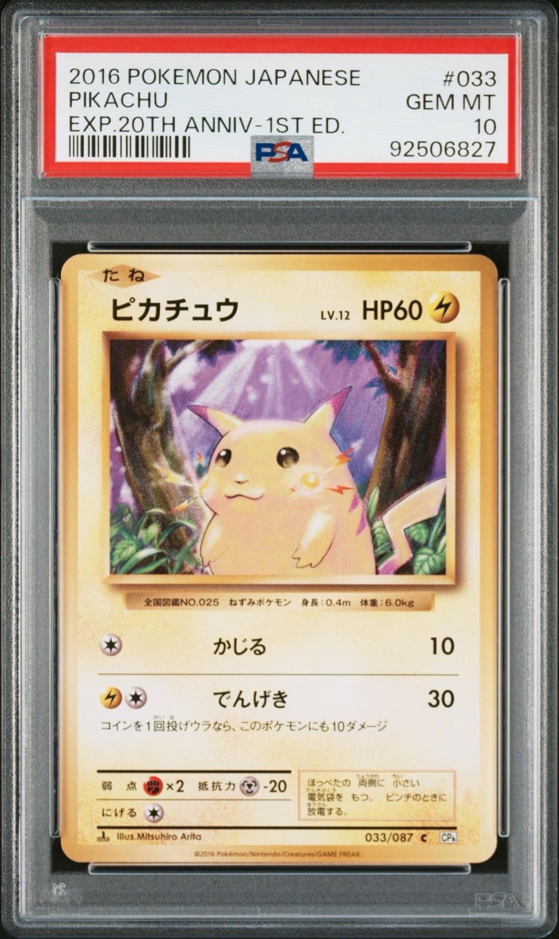 ピカチュウ C :1ED [CP6 033/087](コンセプトパック「ポケットモンスターカードゲーム 拡張パック 20th Anniversary」)