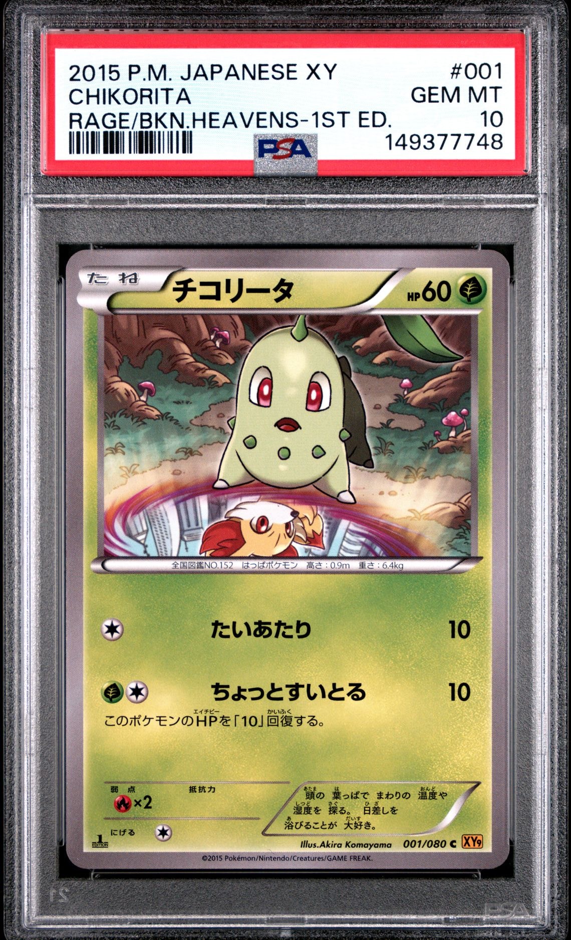 【ARS9】 キュウコン 旧裏 ポケモンカード　美品 ARS9】 キュウコン 旧裏 ポケモンカード 美品 【公式通販】