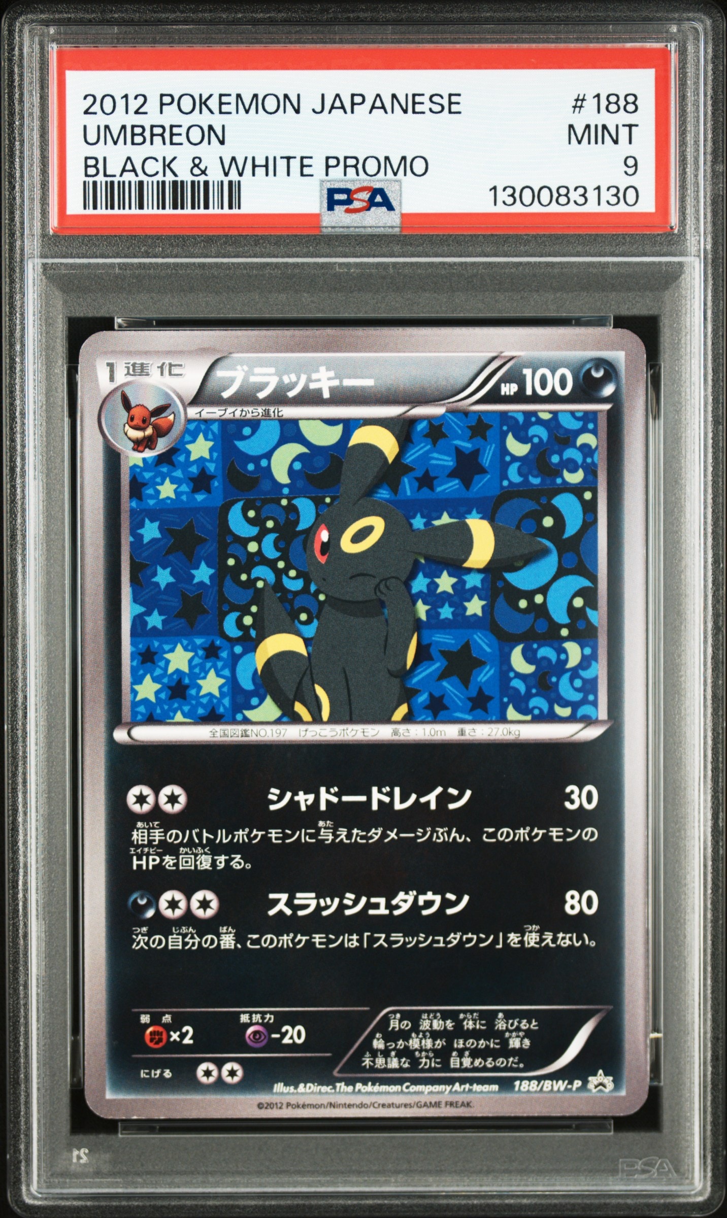 ブラッキー P [BW-P 188/BW-P](プロモーションカード「コレクション
