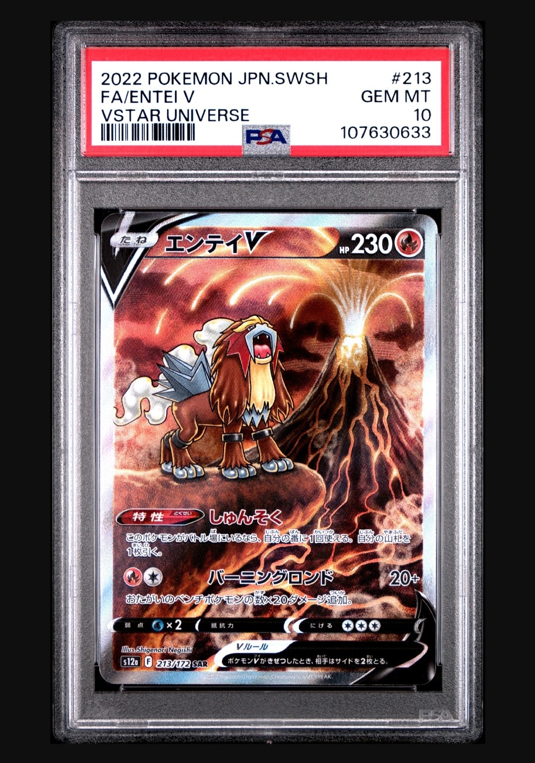 エンテイV SAR[s12a 213/172](ハイクラスパック「VSTARユニバース」)