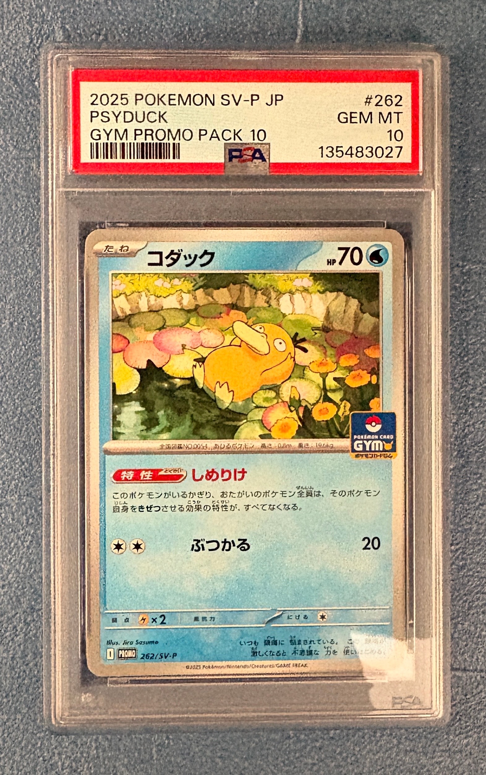 コダック P [SV-P 262](プロモカードパック「第10弾」)
