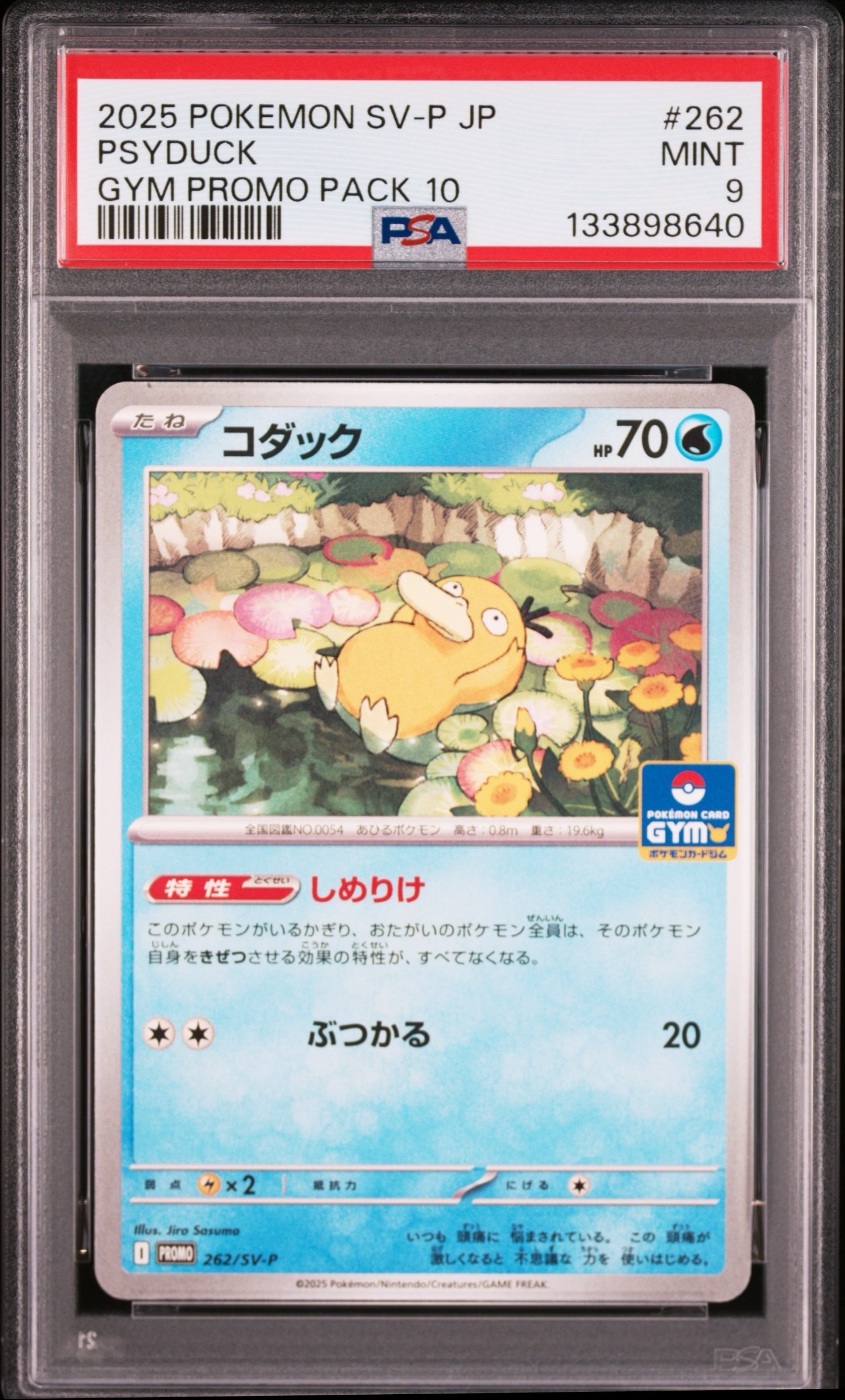 コダック P [SV-P 262](プロモカードパック「第10弾」)