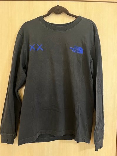The North Face Kaws L/S Tee "Asphalt Grey"