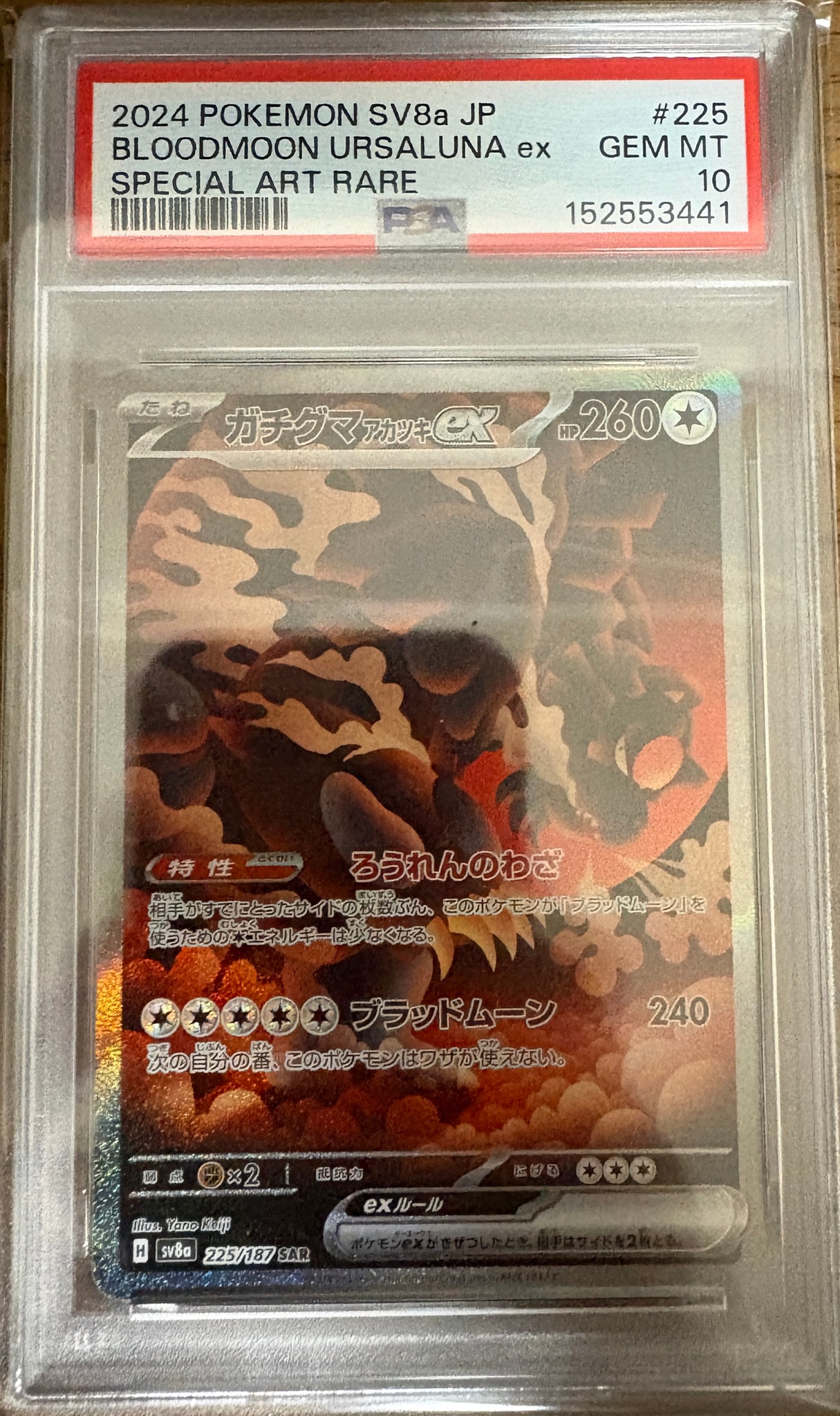 ガチグマ アカツキex SAR [SV8a 225/187](ハイクラスパック「テラスタルフェスex」)