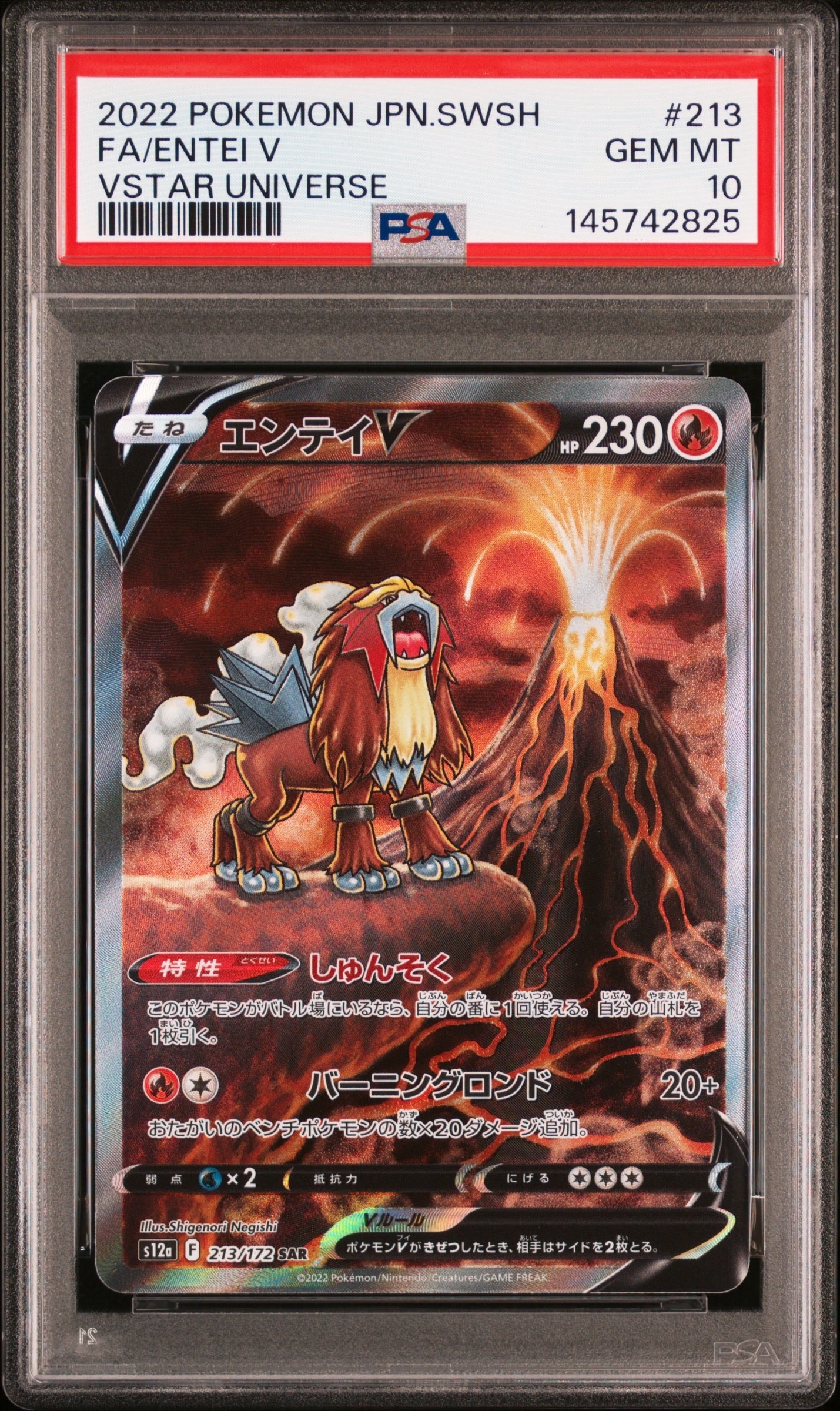PSA10】エンテイV SAR[s12a 213/172](ハイクラスパック「VSTAR