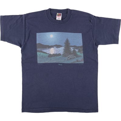 古着 90年代 フルーツオブザルーム FRUIT OF THE LOOM HEAVY cotton アートTシャツ USA製 メンズL相当 ヴィンテージ/eaa556954