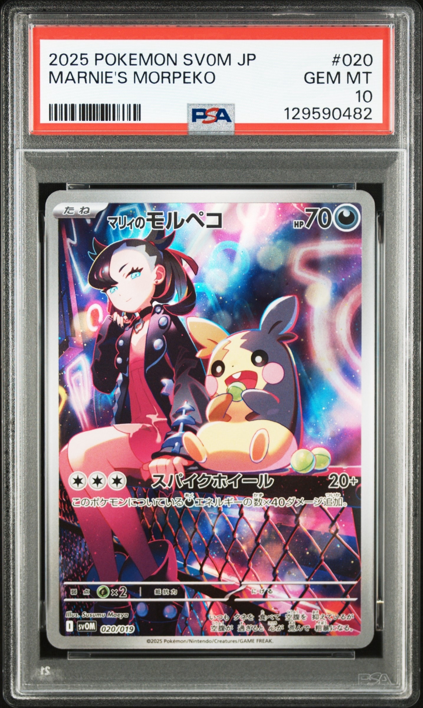 PSA9】ポンチョを着たイーブイ: プロモ[SM-P 143](プロモーション