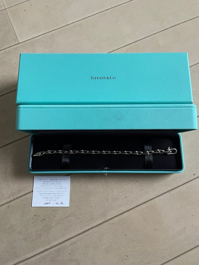 Tiffany & Co. HardWear Small Link Bracelet in Silver