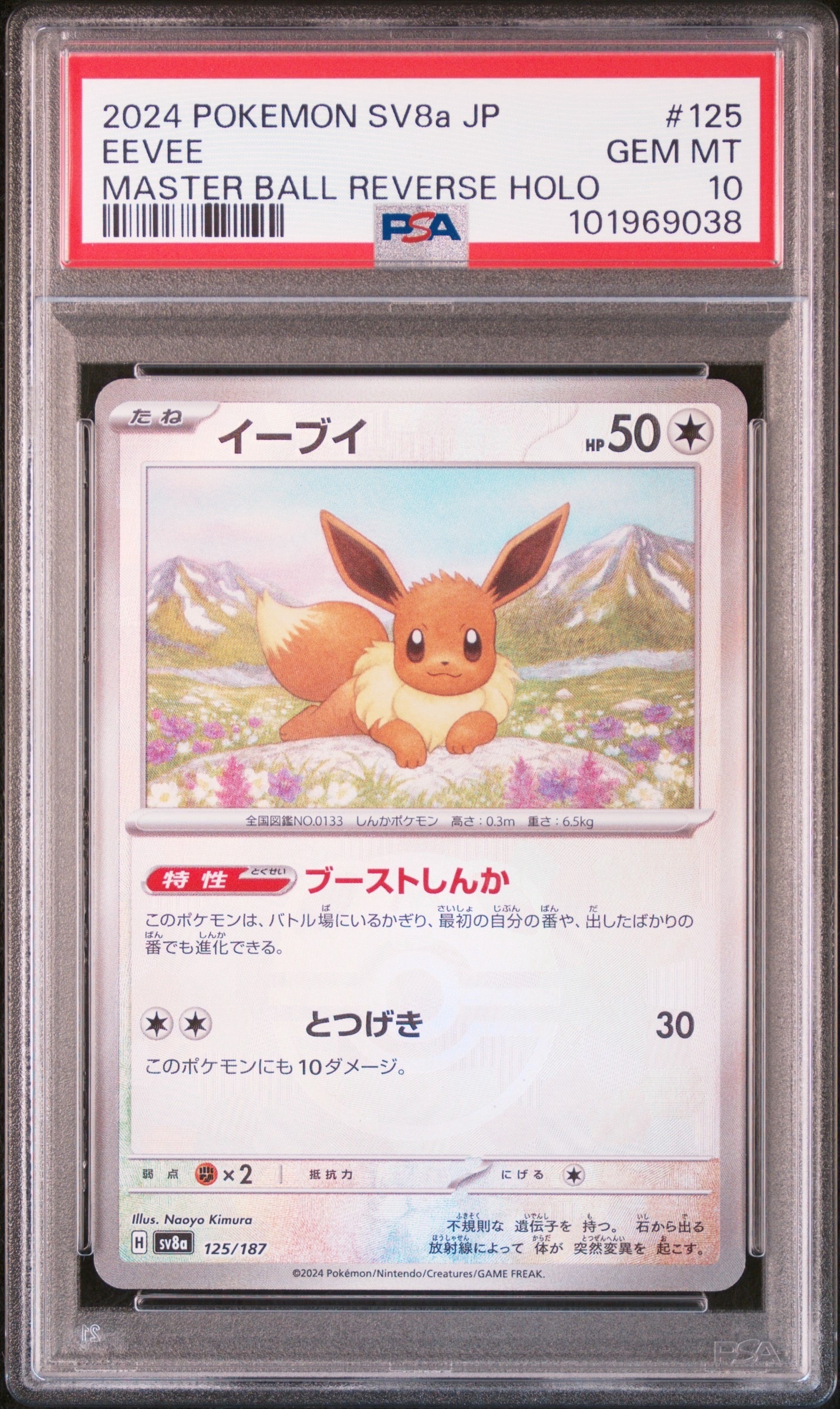 イーブイ :マスターボールミラー [SV8a 125/187](ハイクラスパック「テラスタルフェスex」)