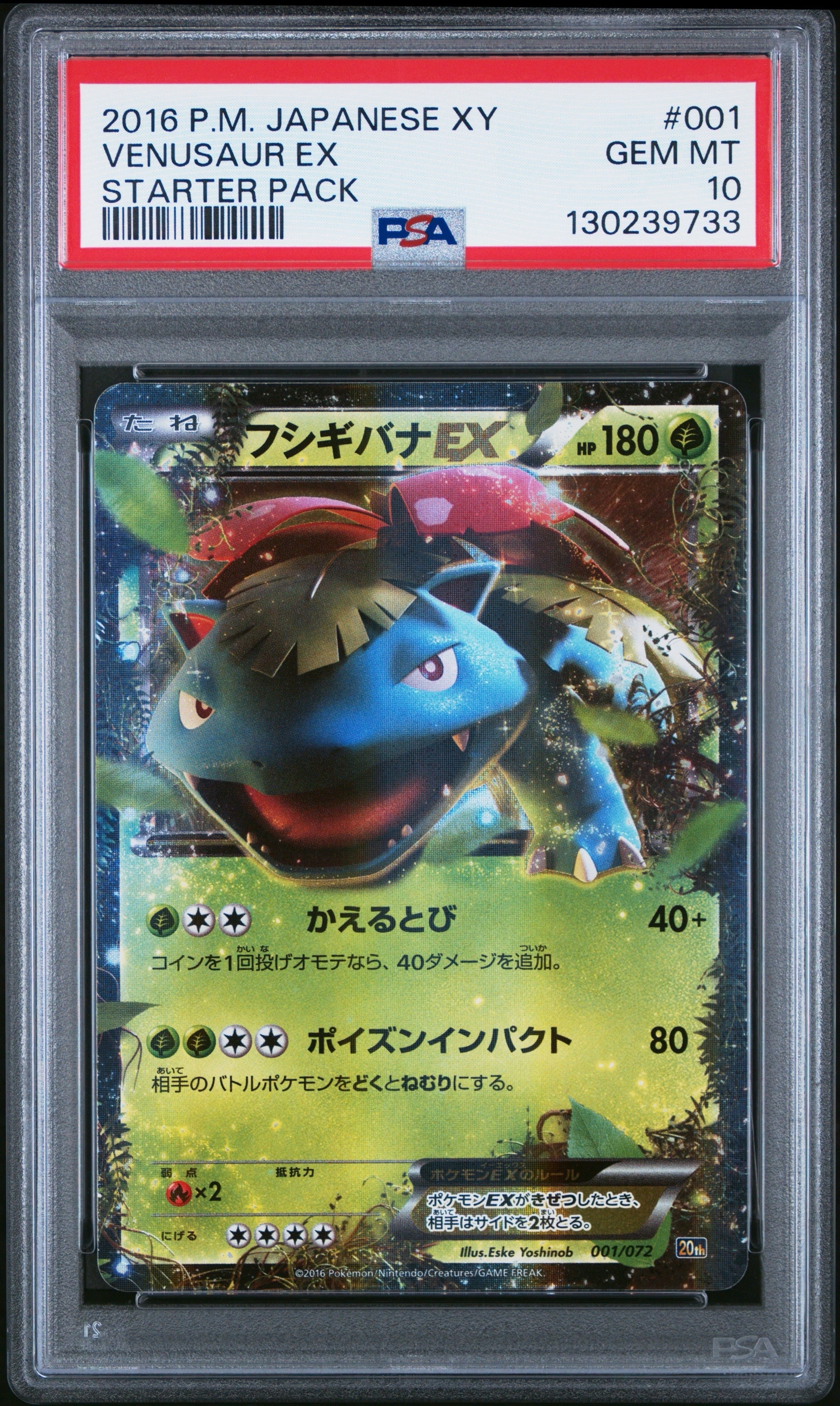 フシギバナEX 233/XY-P PROMO PSA10 ポケモンカードゲーム ポケモンカード XY フシギバナEX SR PSA10 20th 1枚の通販 FU