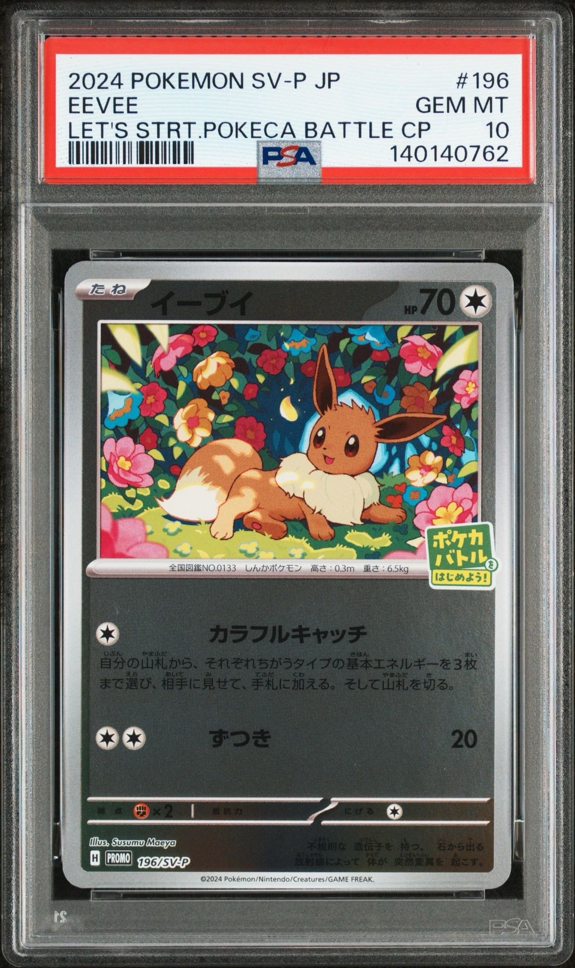 イーブイ P [SV-P-SM 196](プロモカードパック「ポケカバトルをはじめよう!キャンペーン」)