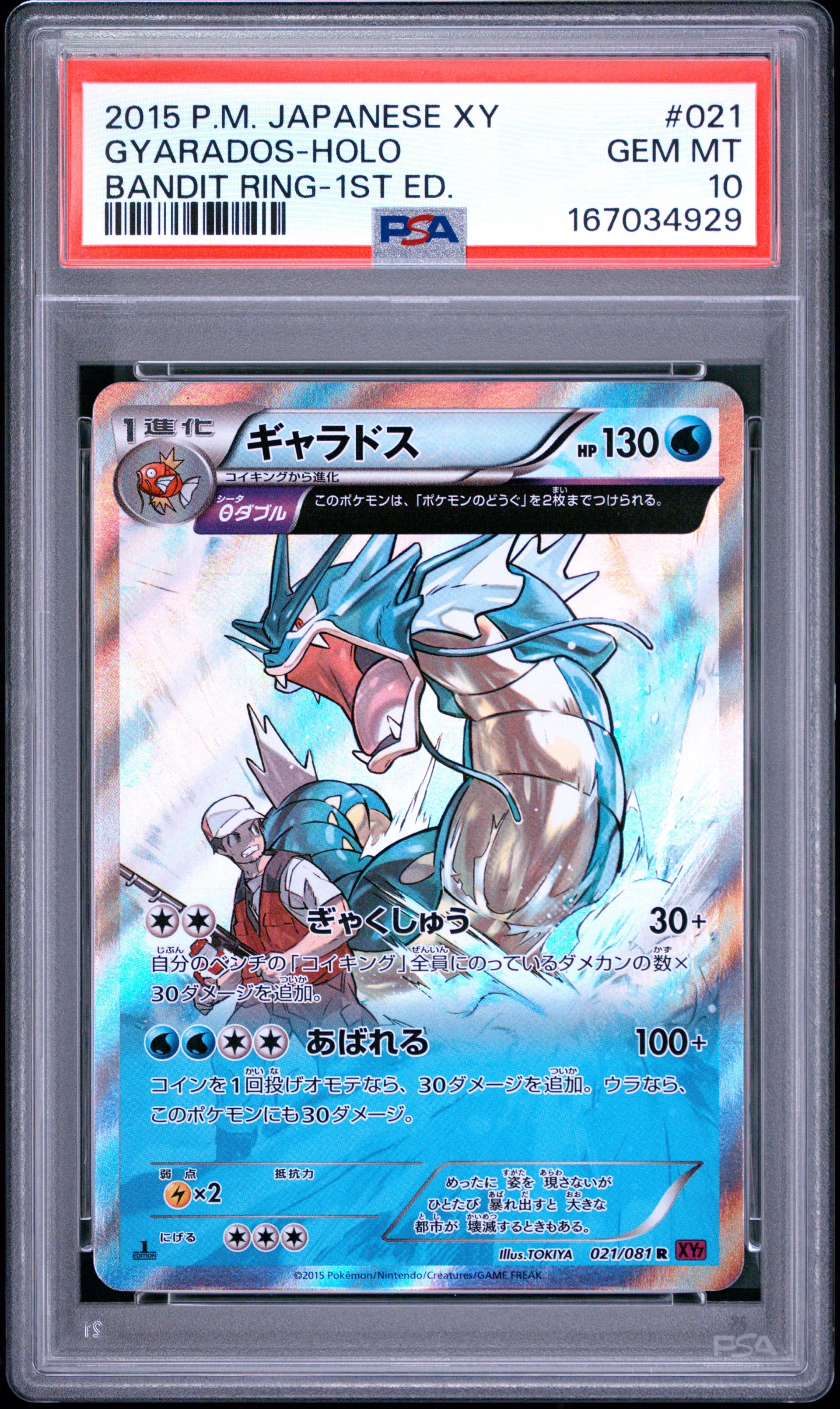 ギャラドス R :1ED [XY7 021/081](拡張パック「バンデットリング