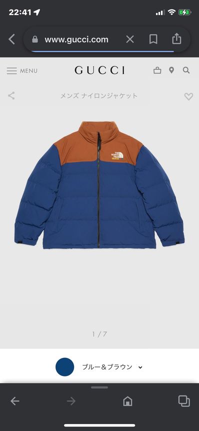THE NORTH FACE x GUCCI ダウンジャケット