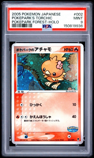 ポケモンカード ポケパークのアチャモ ポケパークプレミアムファイル ポケモンカード ポケパークのアチャモ ポケパークプレミアムファイル