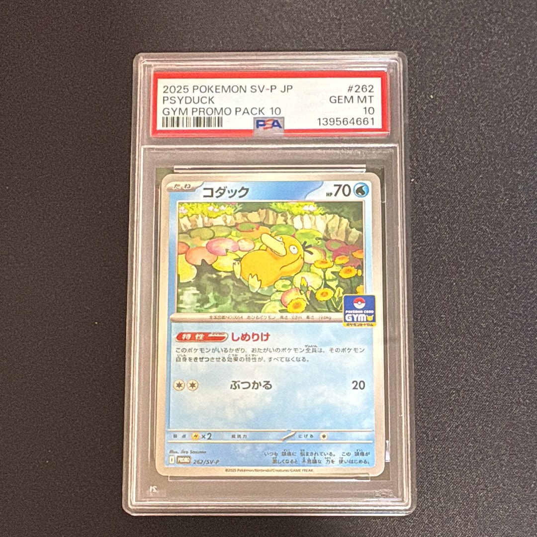 コダック P [SV-P 262](プロモカードパック「第10弾」)