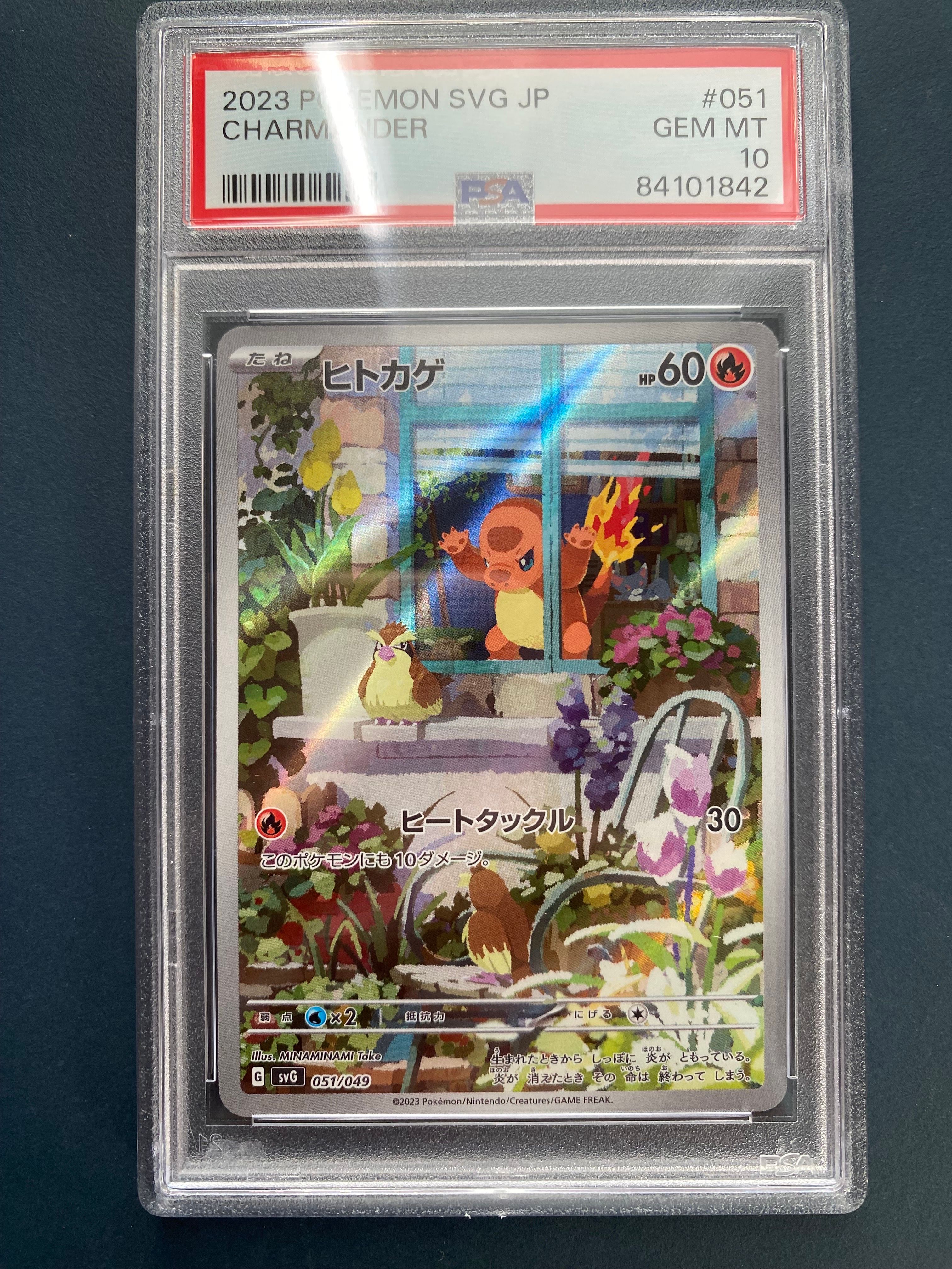 ヒトカゲ :フルイラスト [SVG 051/049](スペシャルデッキセットex「フシギバナ・リザードン・カメックス」)