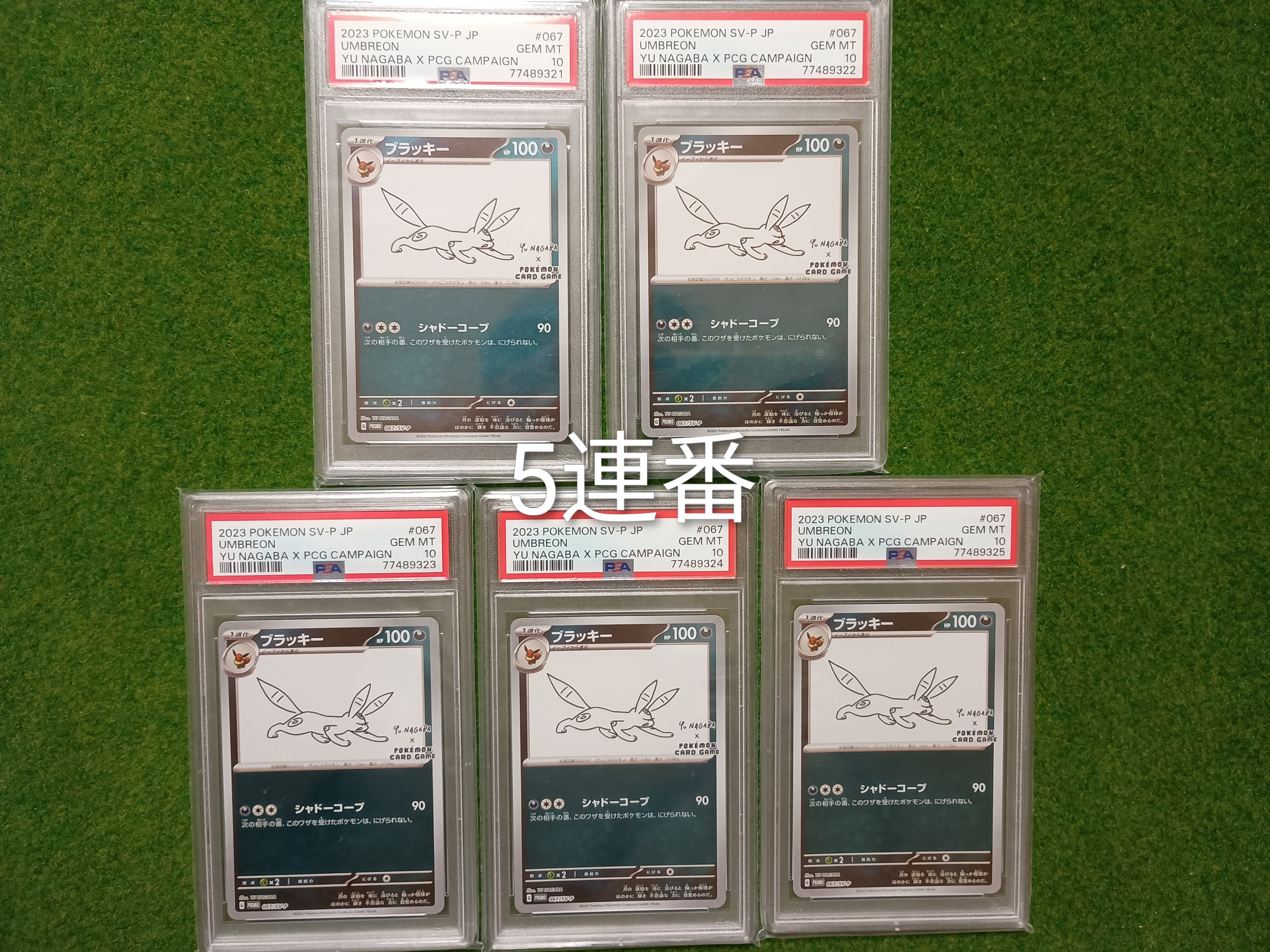 PSA10】ブラッキー: プロモ (ナガバブラッキー) [SV-P 067](「YU